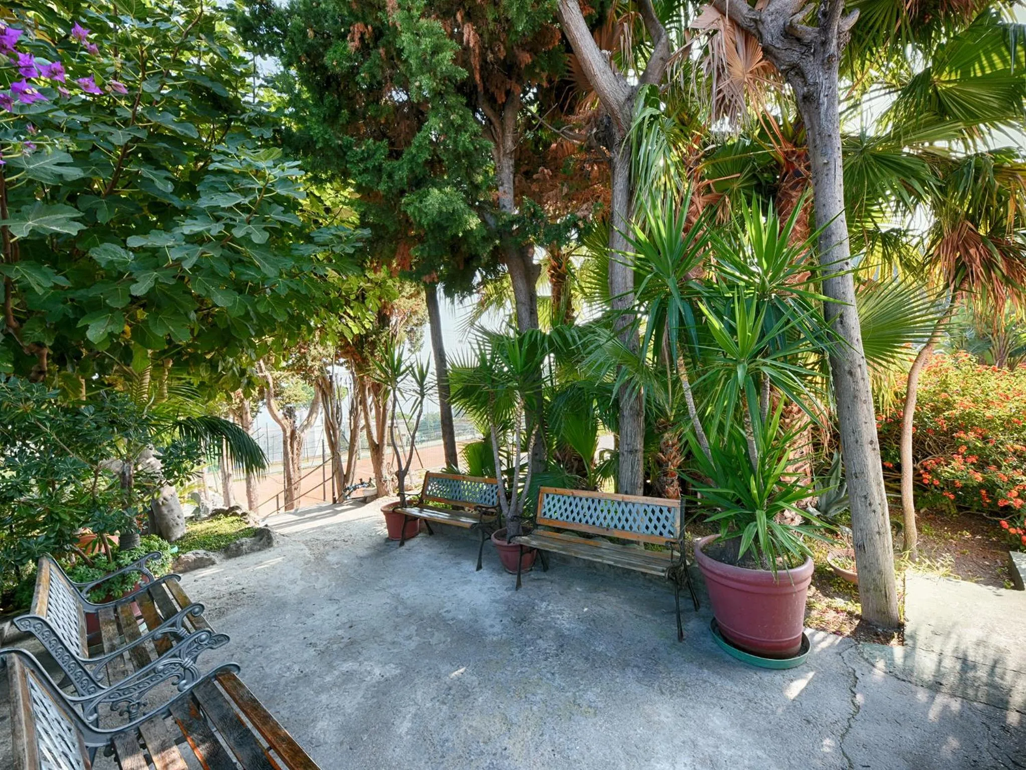 Natural landscape in Hotel Parco Cartaromana