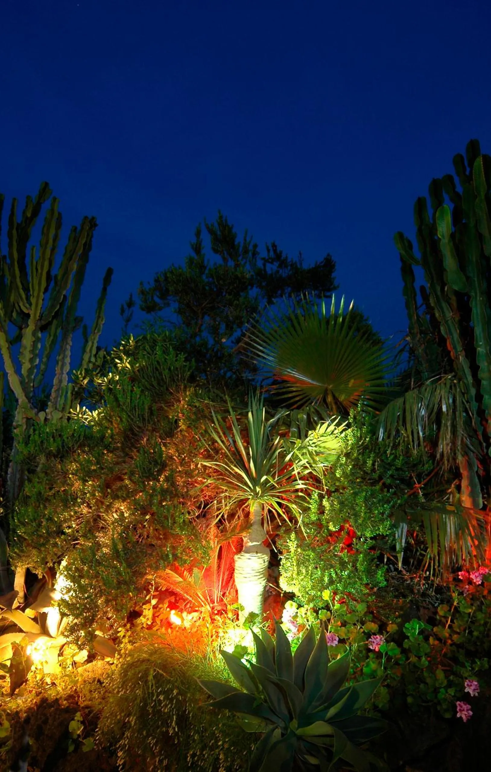 Night in Hotel Parco Cartaromana