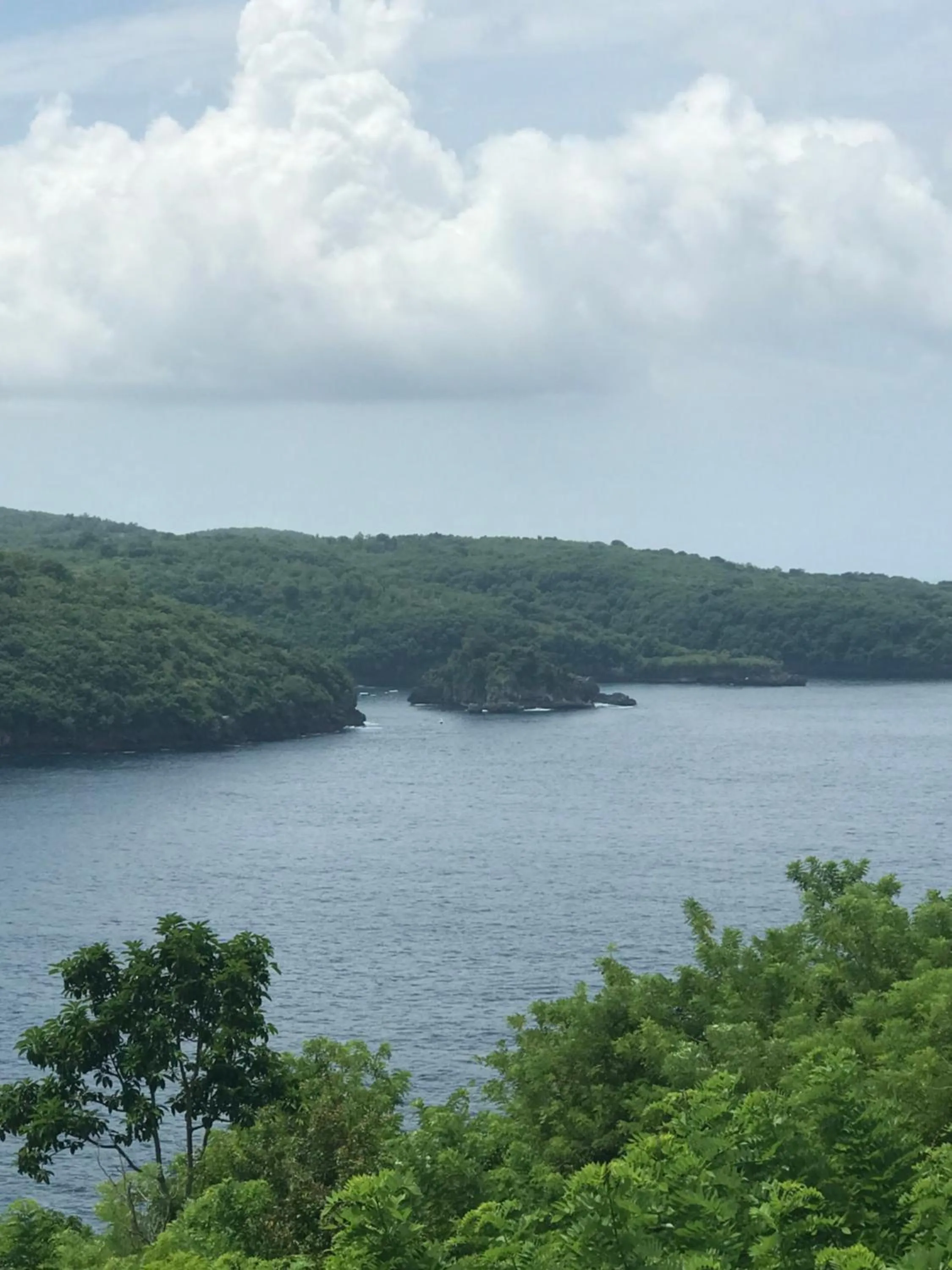 Natural landscape in Butterfly Villas Nusa Ceningan