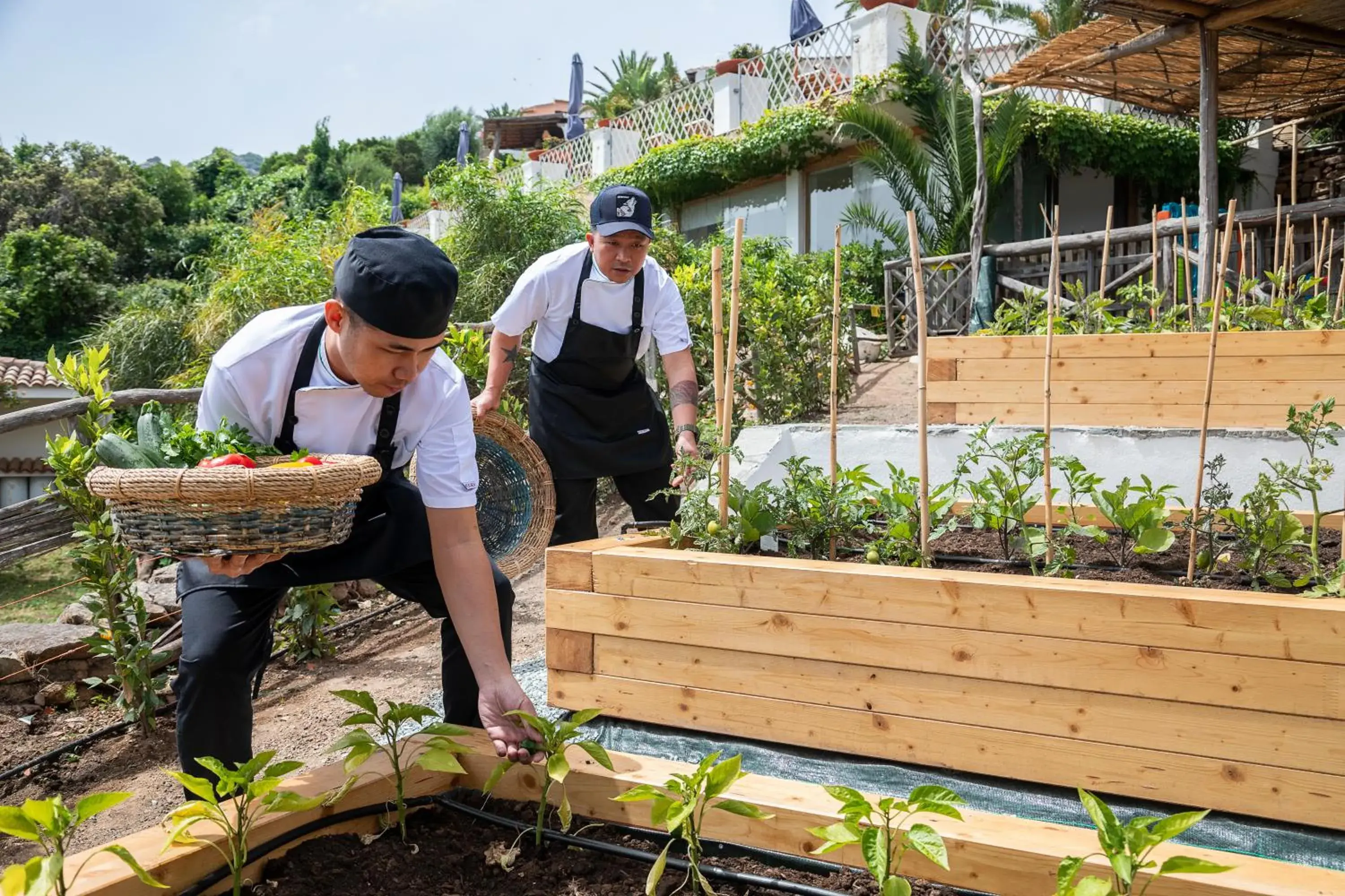 Breakfast in Hotel Balocco Breakfast in Hotel Balocco