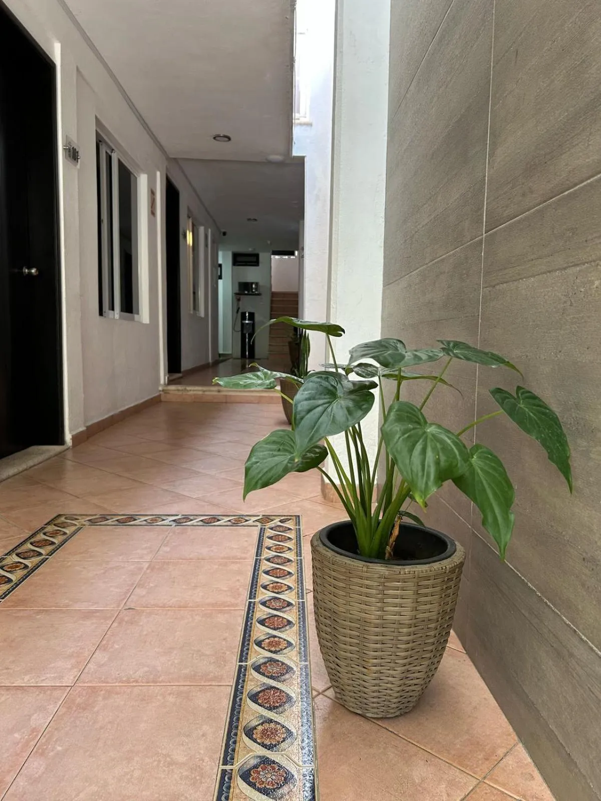 Property building in Hotel Marcianito