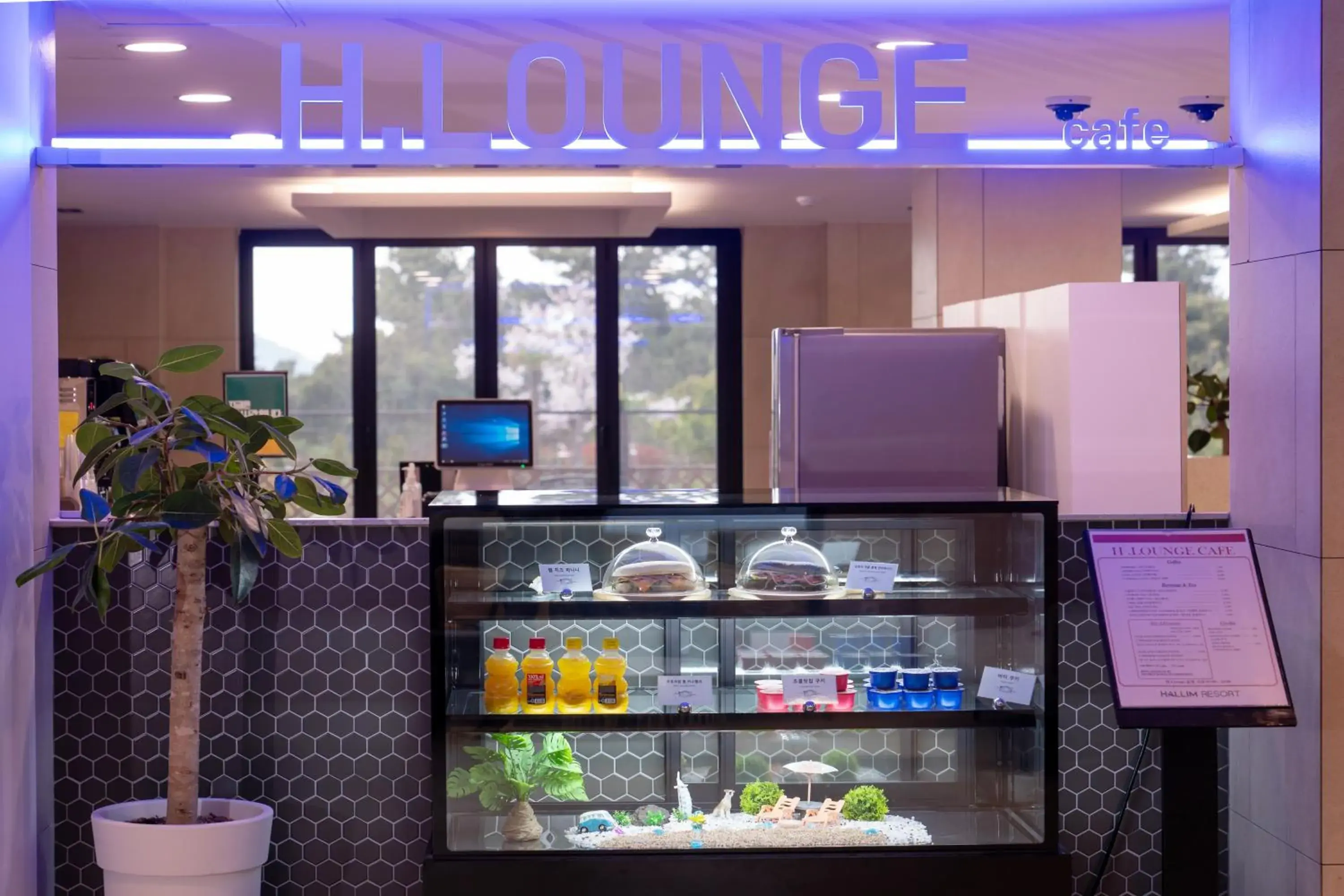 Lounge or bar in Hallim Resort Lounge or bar in Hallim Resort