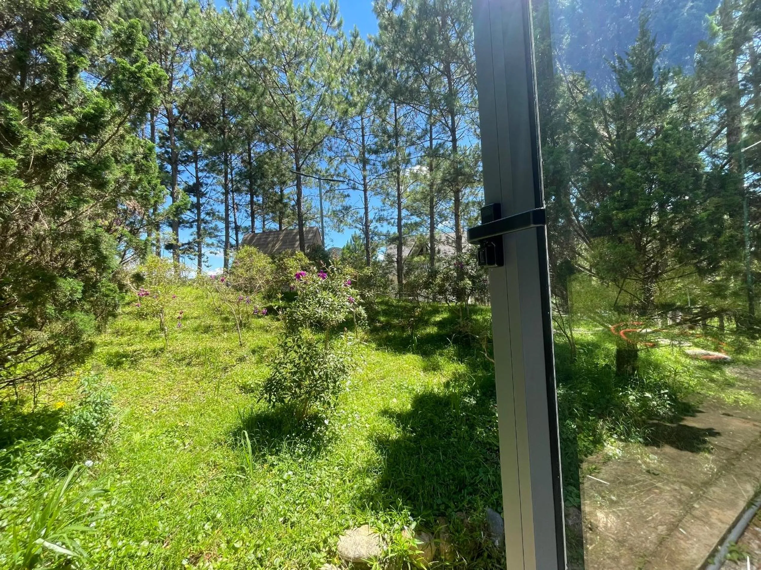 Natural landscape in Rừng Lá Kim Resort