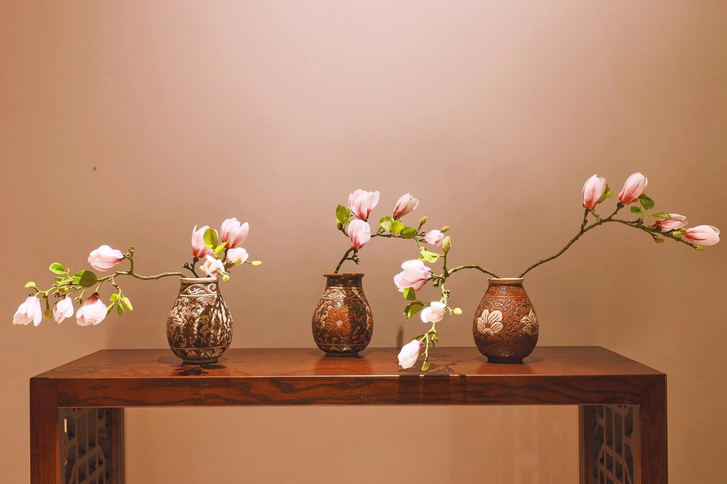 Area and facilities in CHERRY BOUTIQUE HOTEL