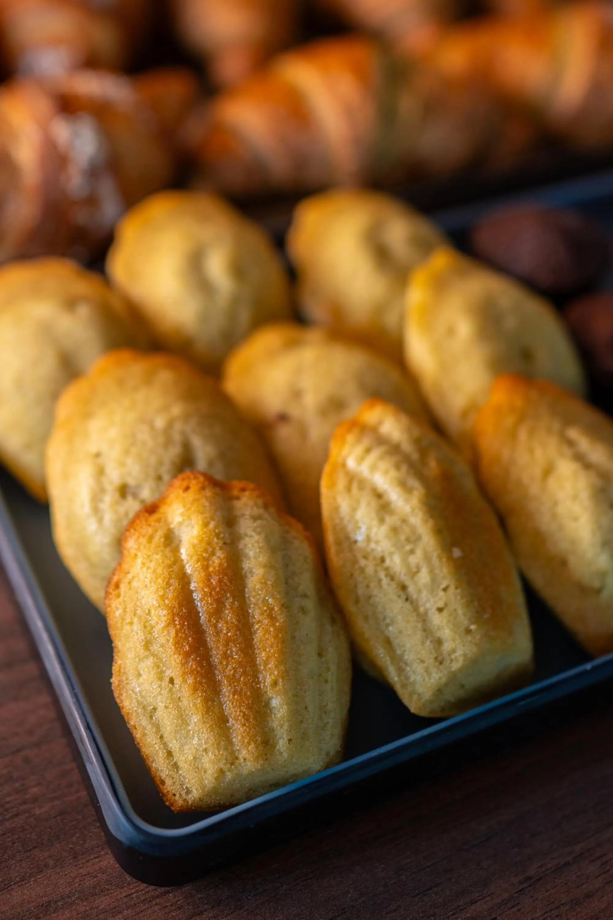 Hotel Punta San Martino