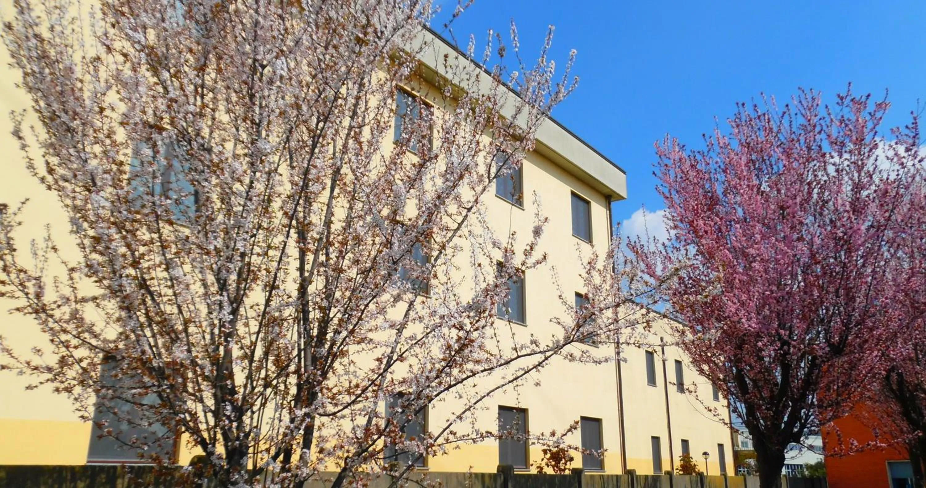 Property building in Hotel Majestic