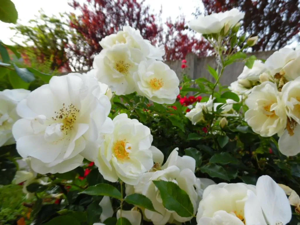 Other in Hotel Majestic