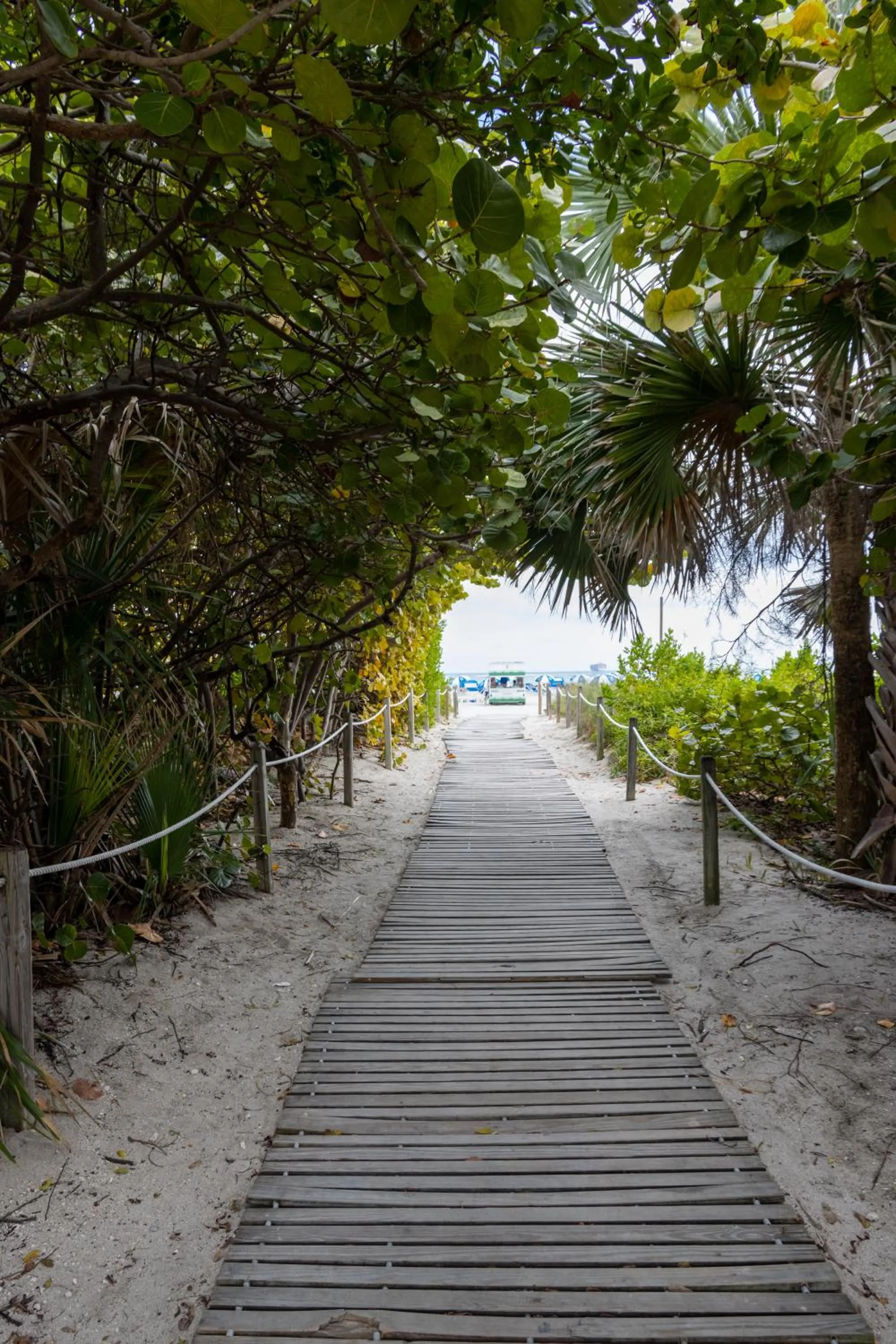Beach in Uma House by Yurbban South Beach
