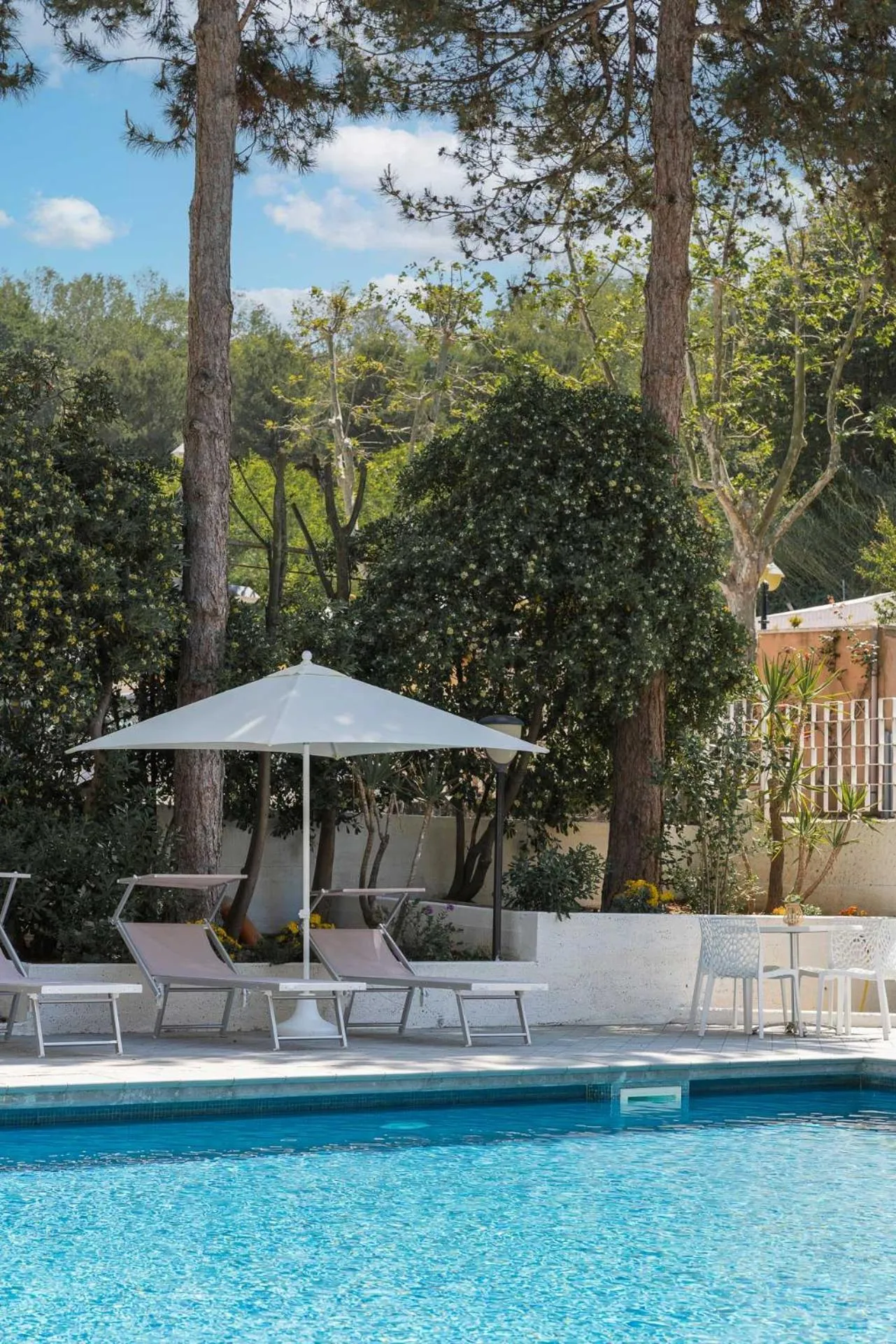 Swimming pool in Club Hotel