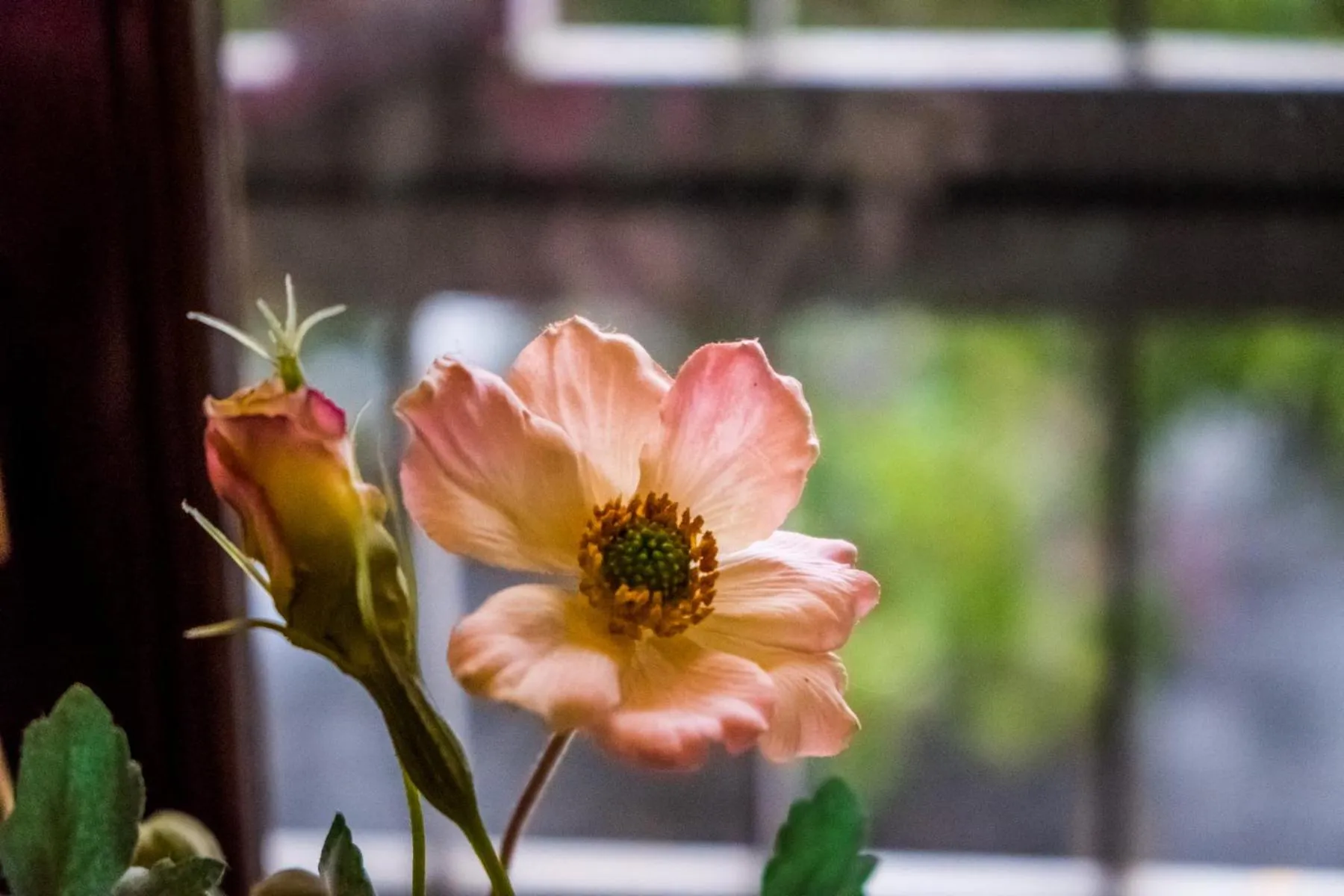 Hotel Casale dei Massimi