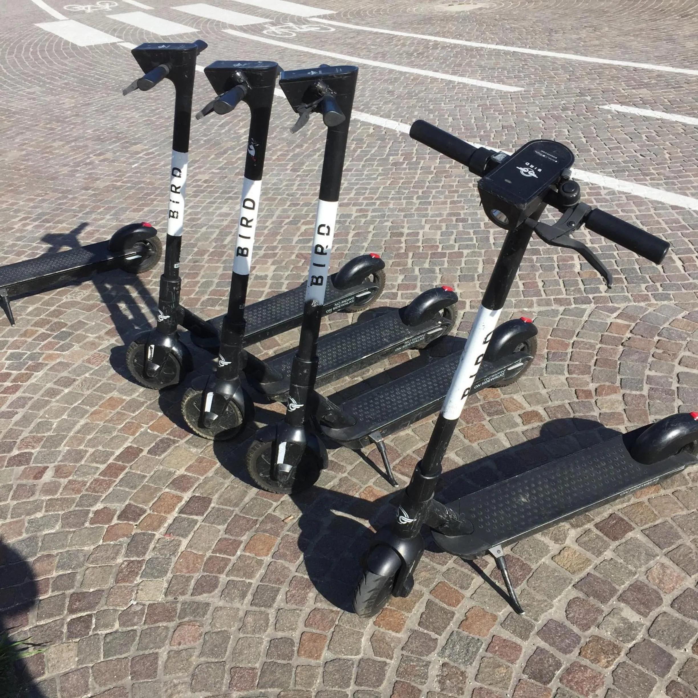 Entertainment in Hotel Apis