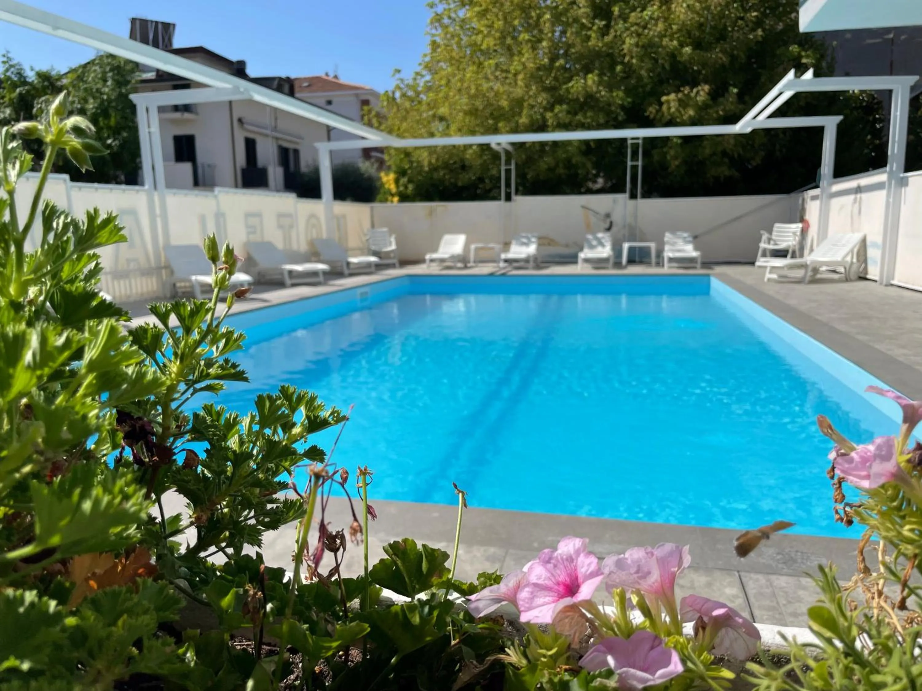Swimming pool in Hotel Apis