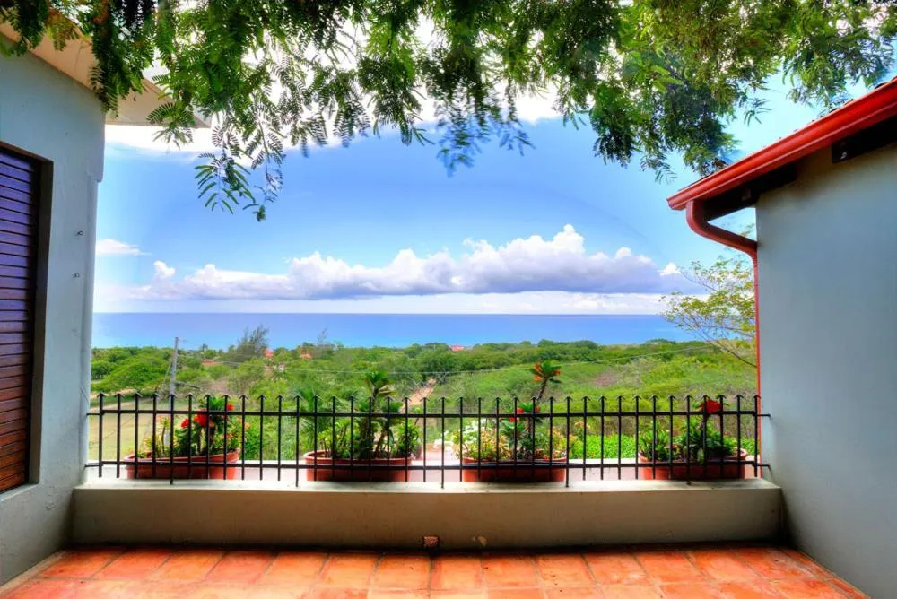 Natural landscape in Hacienda Tamarindo