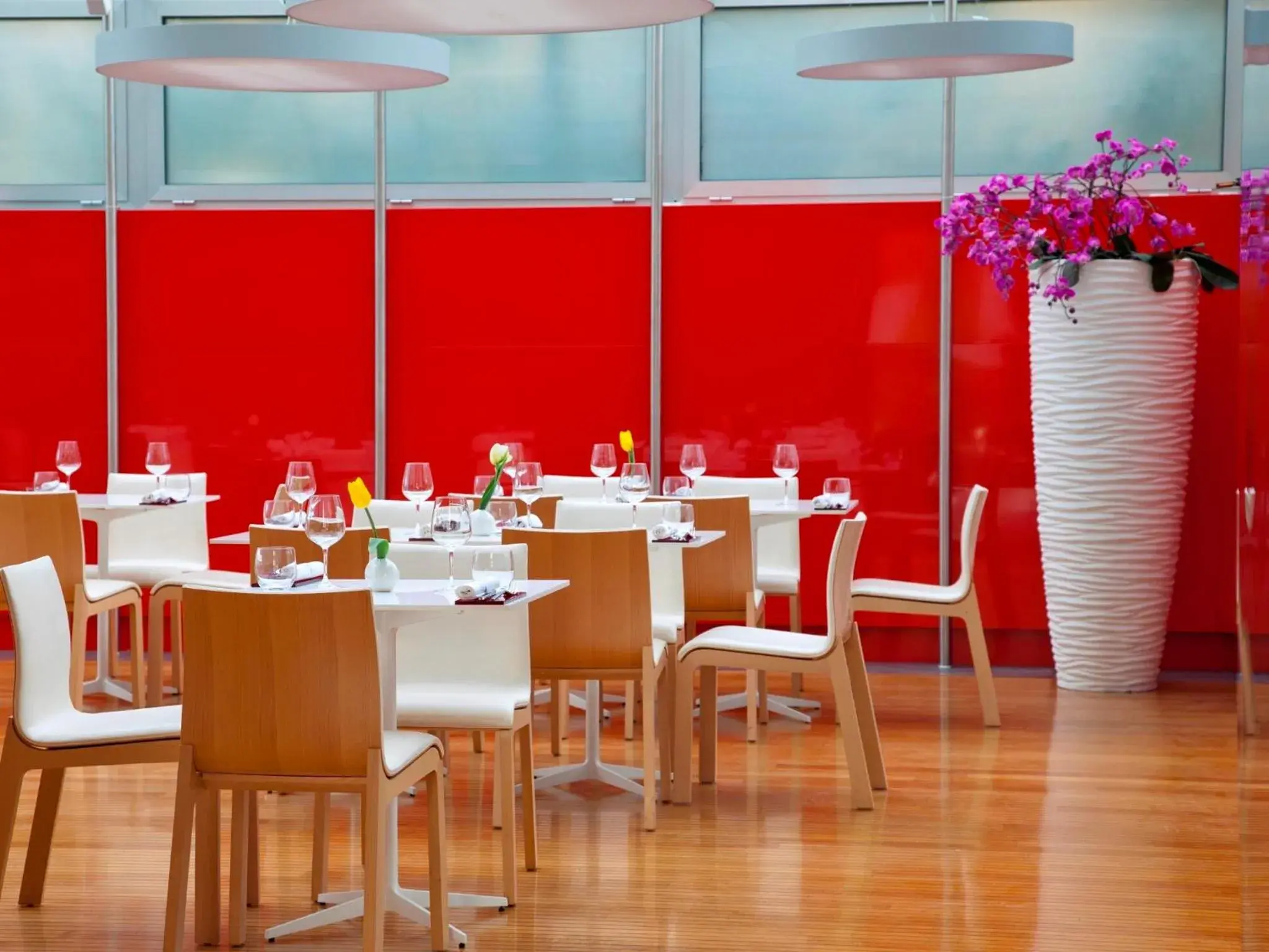 Restaurant/places to eat in Hotel Zone Restaurant/places to eat in Hotel Zone