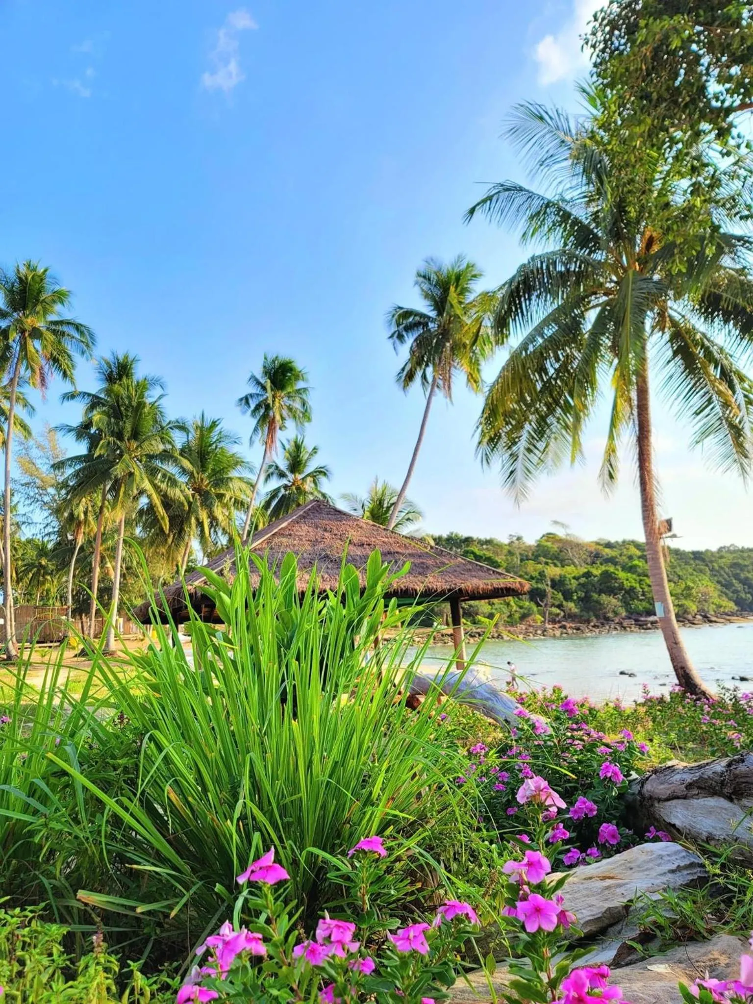 Natural landscape in Koh Sdach Resort by EHM