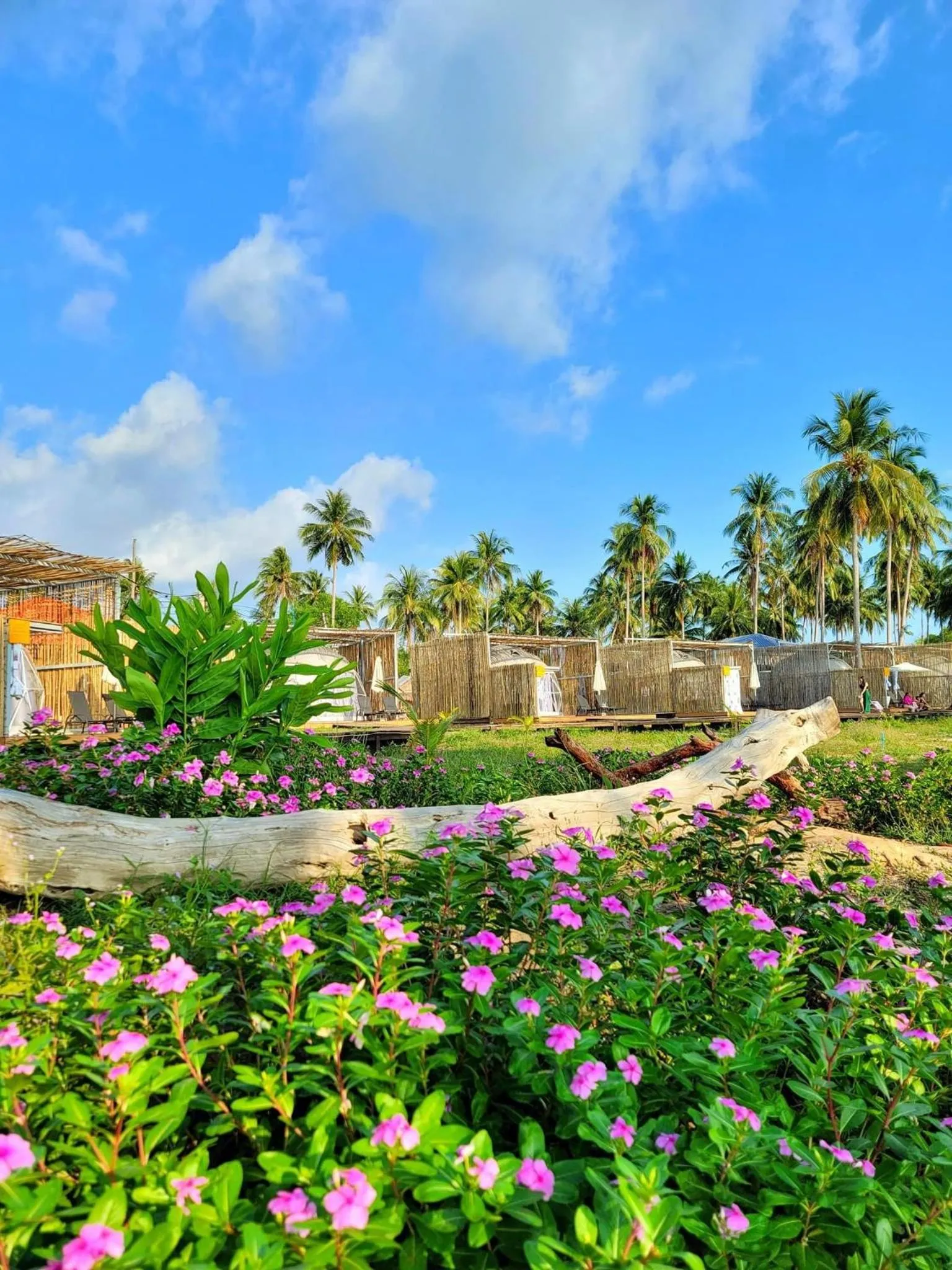 Neighbourhood in Koh Sdach Resort by EHM