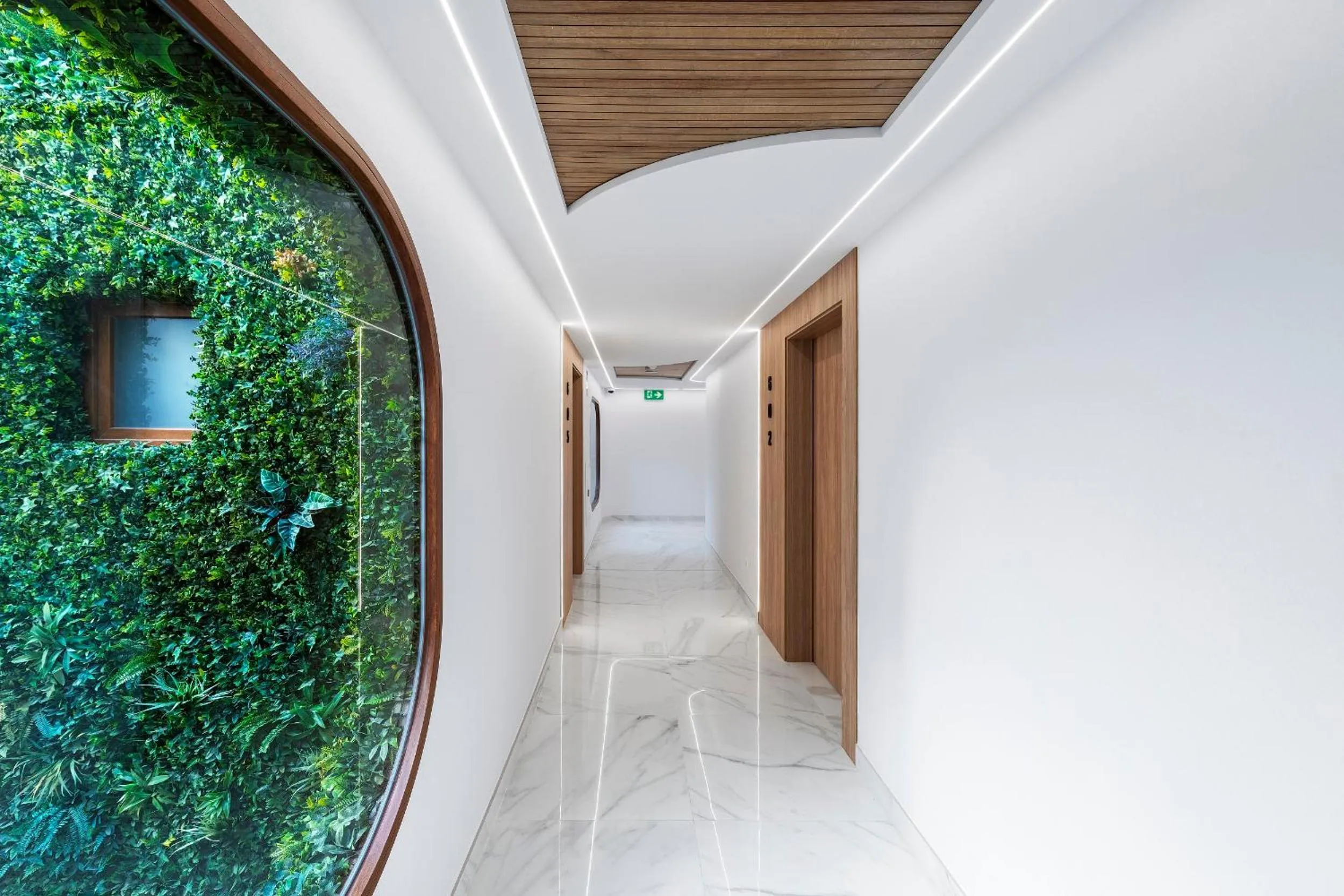 Area and facilities in Odyssey Rooms Alicante