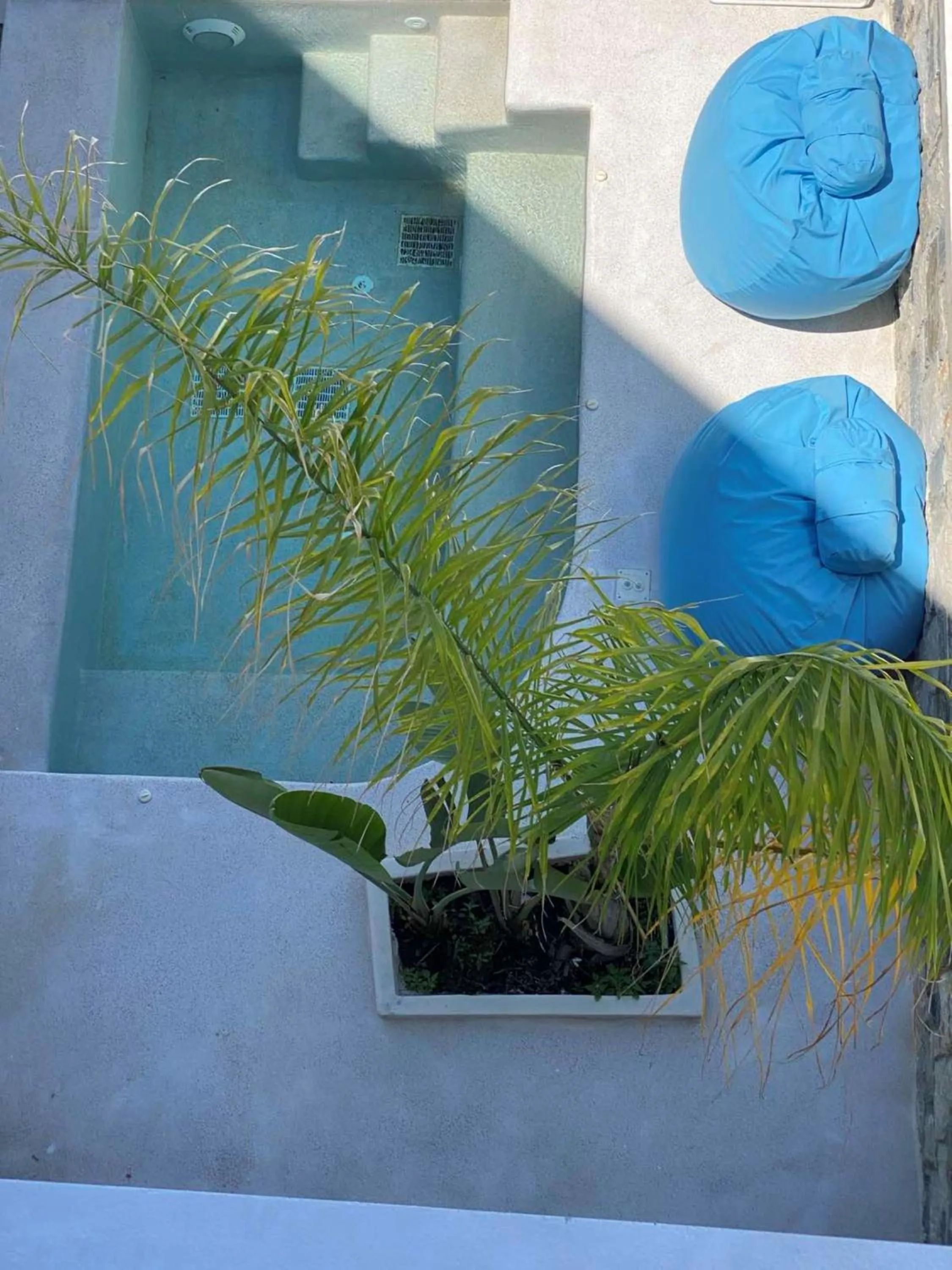 Garden view in Kouros Home & Suites