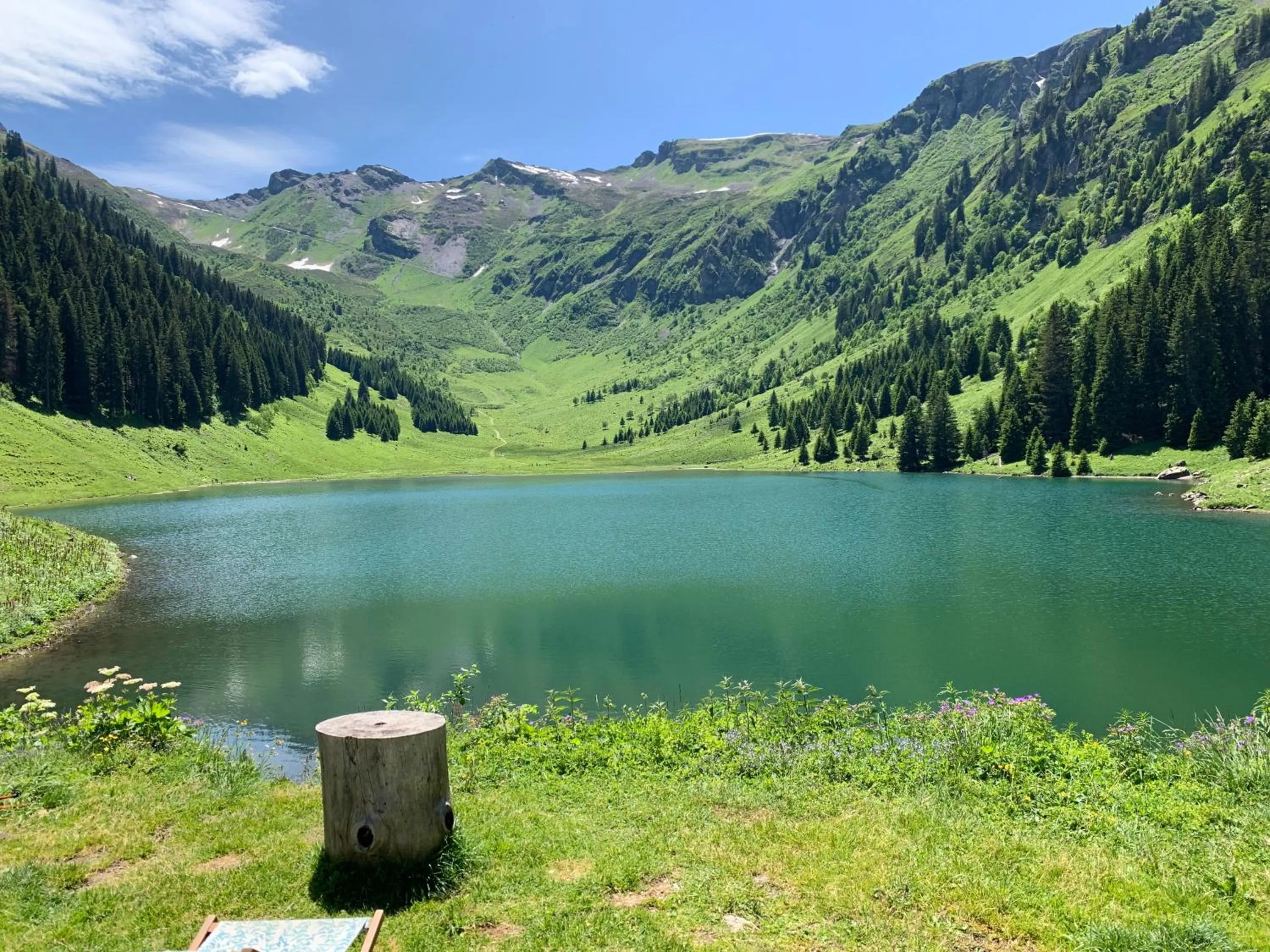 View (from property/room) in Chalet Esprit