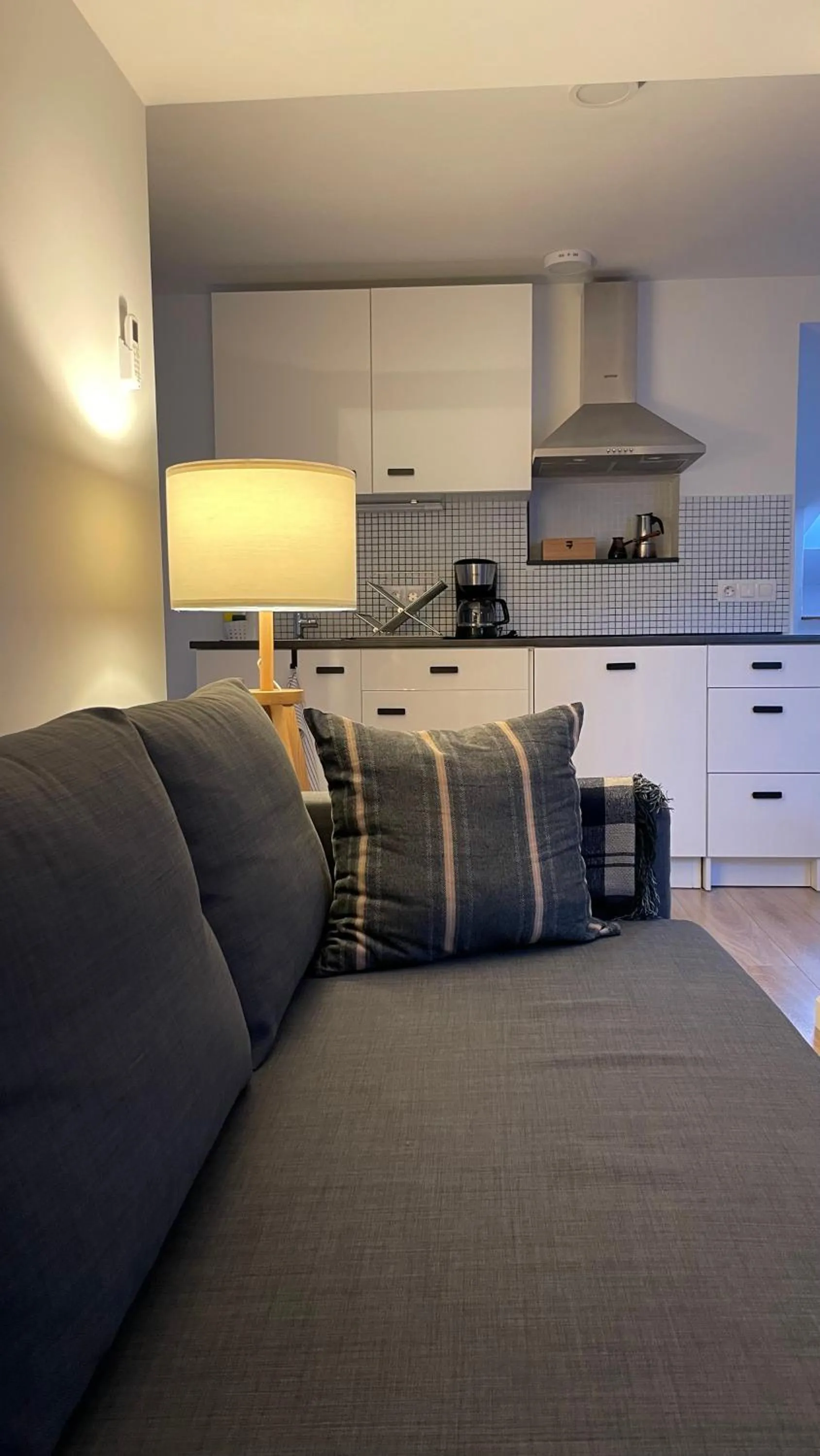 Photo of the whole room in All Seasons Apartments Laško