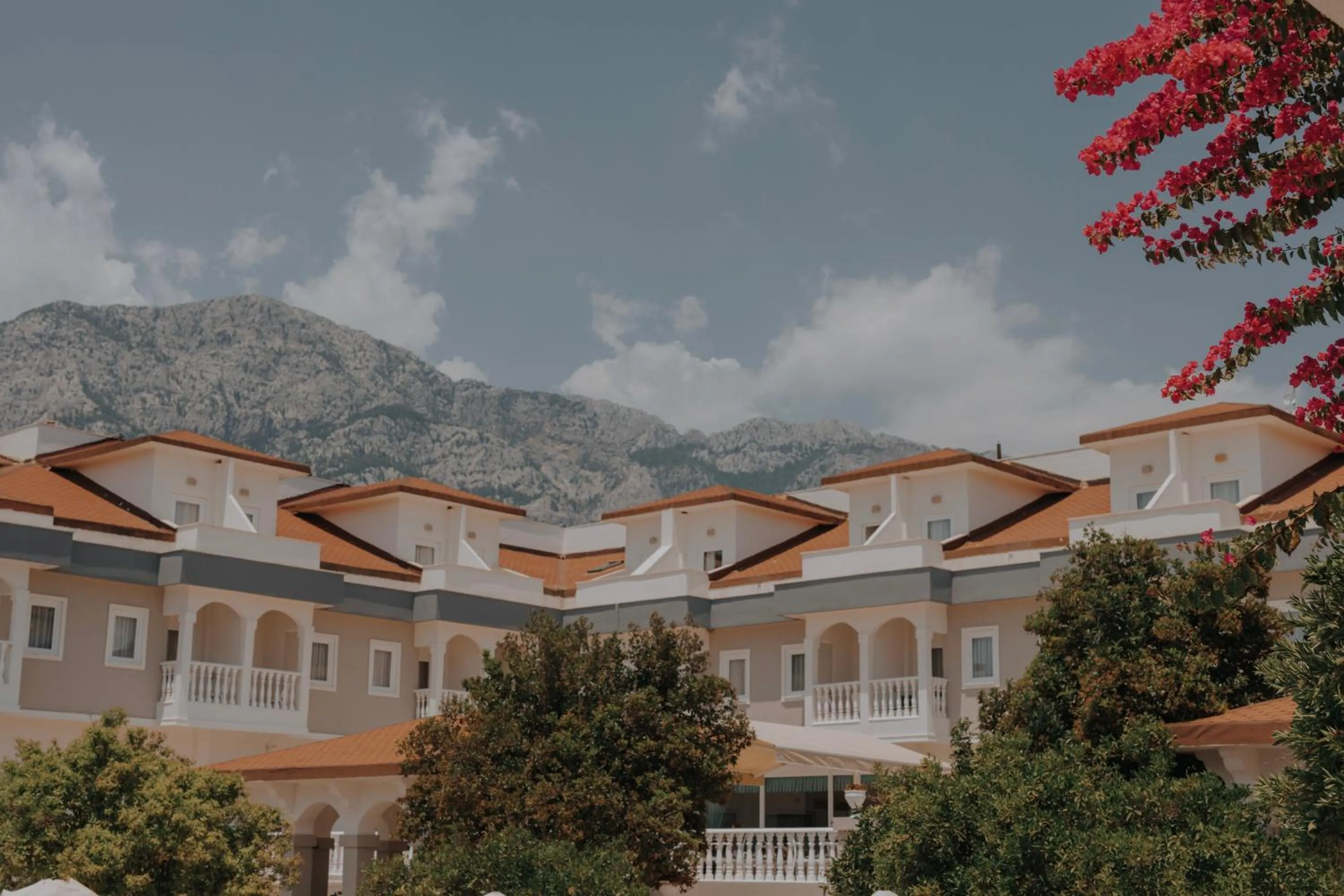 Mountain view in Viking Garden Hotel