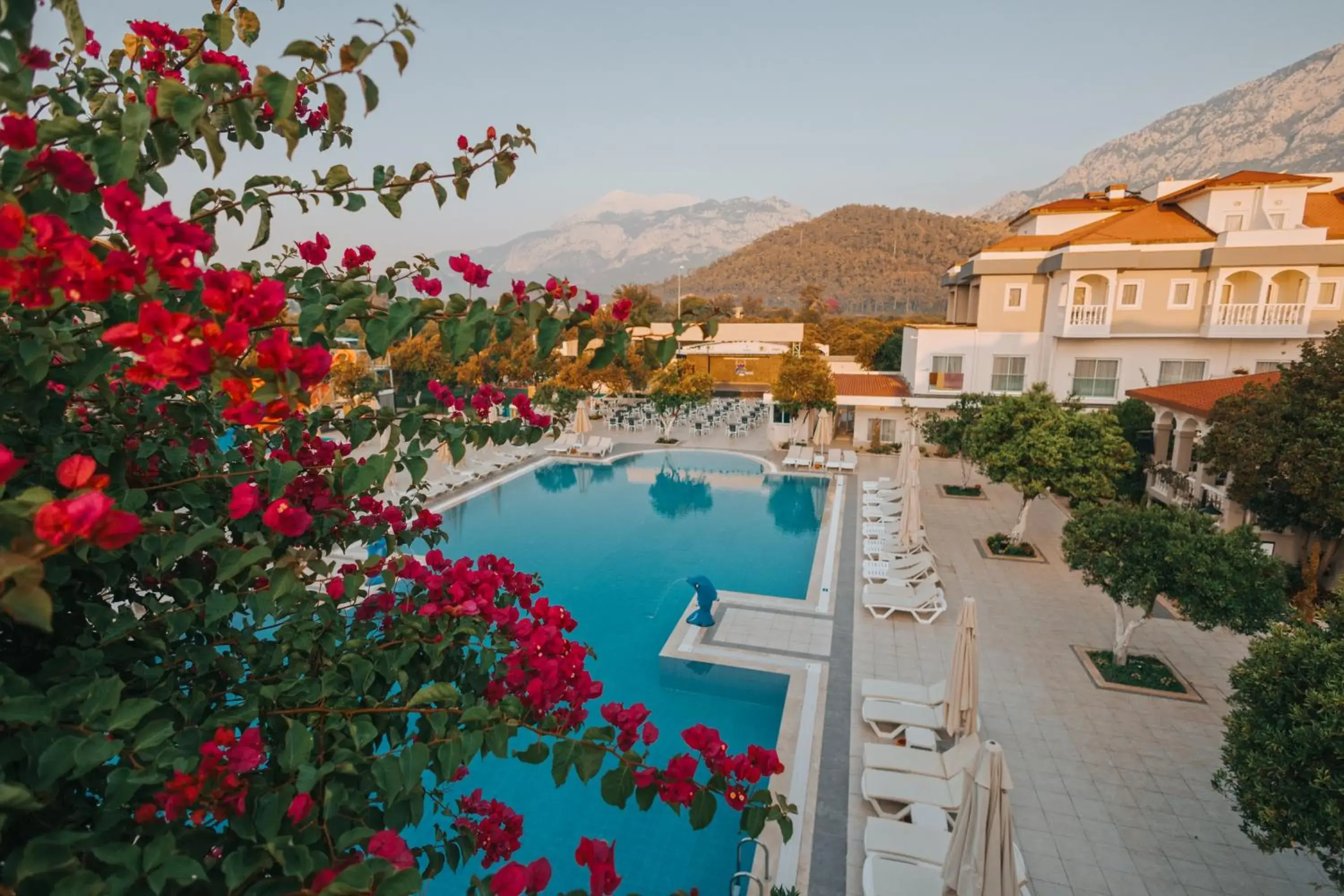 Pool view in Viking Garden Hotel Pool view in Viking Garden Hotel