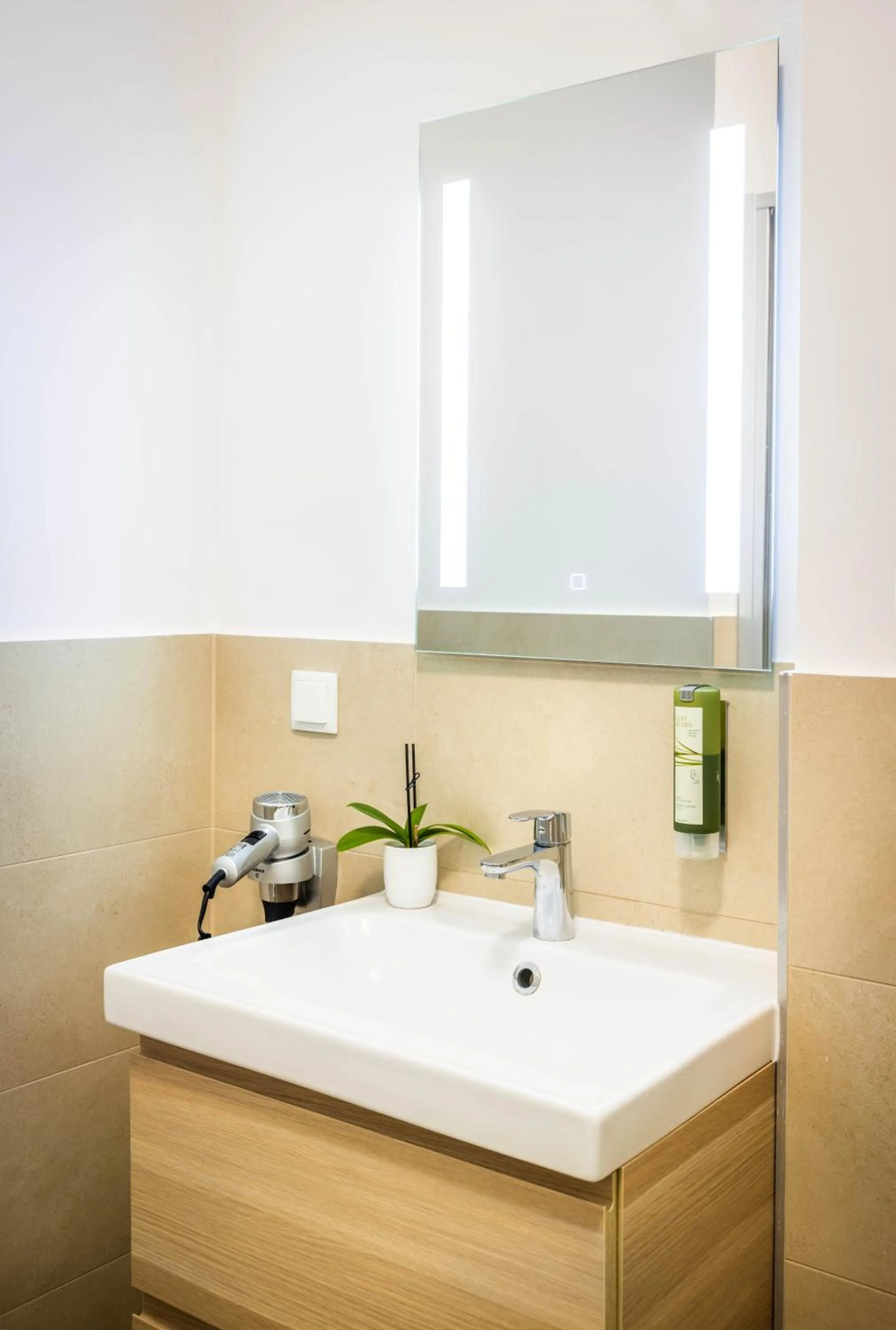 Bathroom in Jimmy's Apartments Dandelion