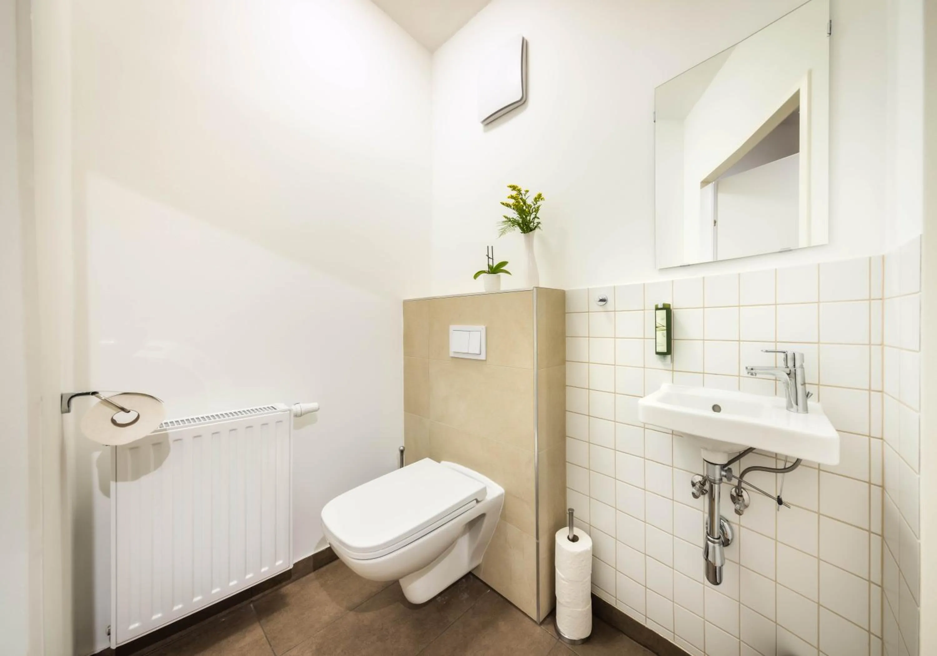 Toilet in Jimmy's Apartments Dandelion