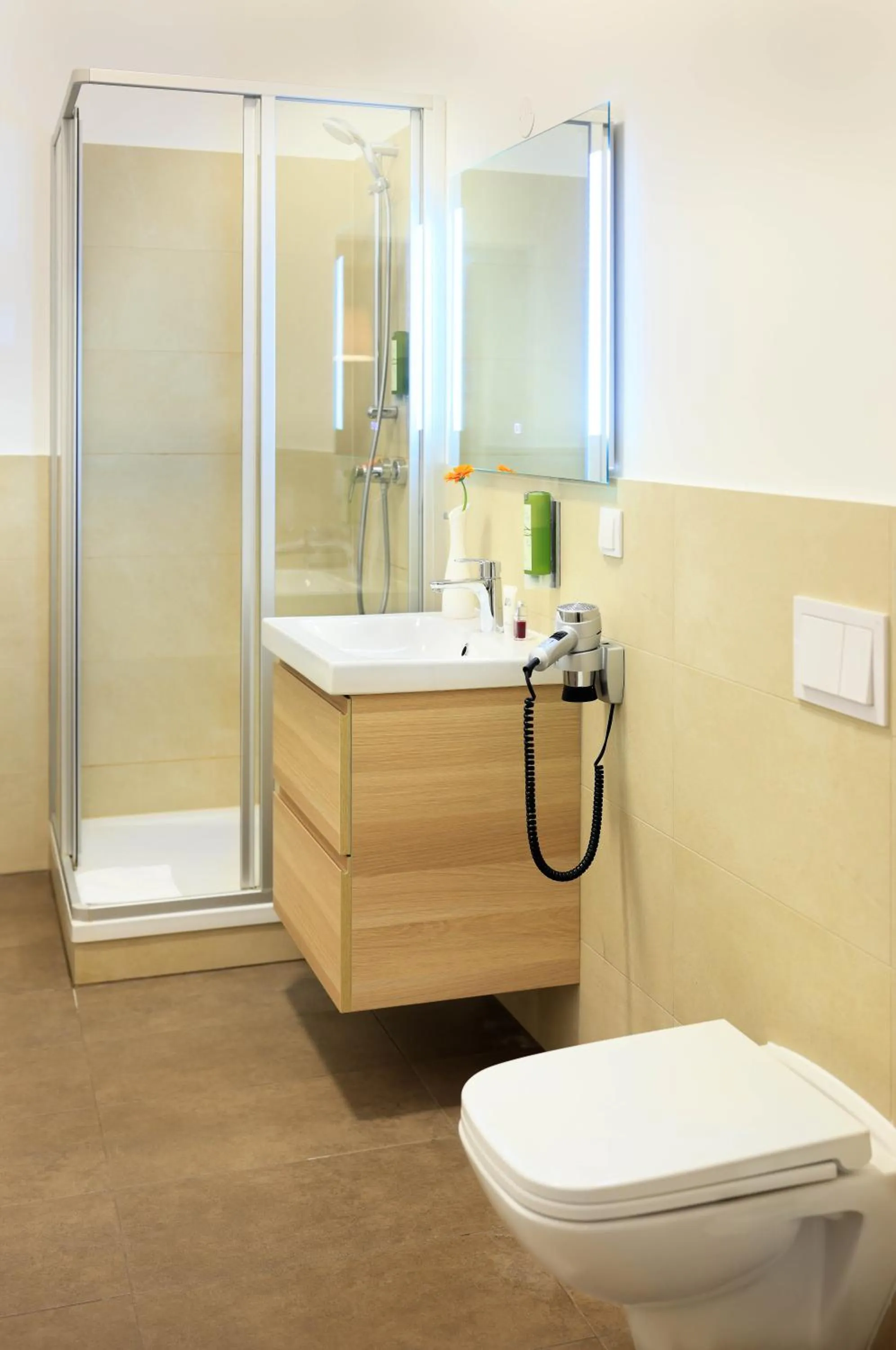 Shower in Jimmy's Apartments Dandelion