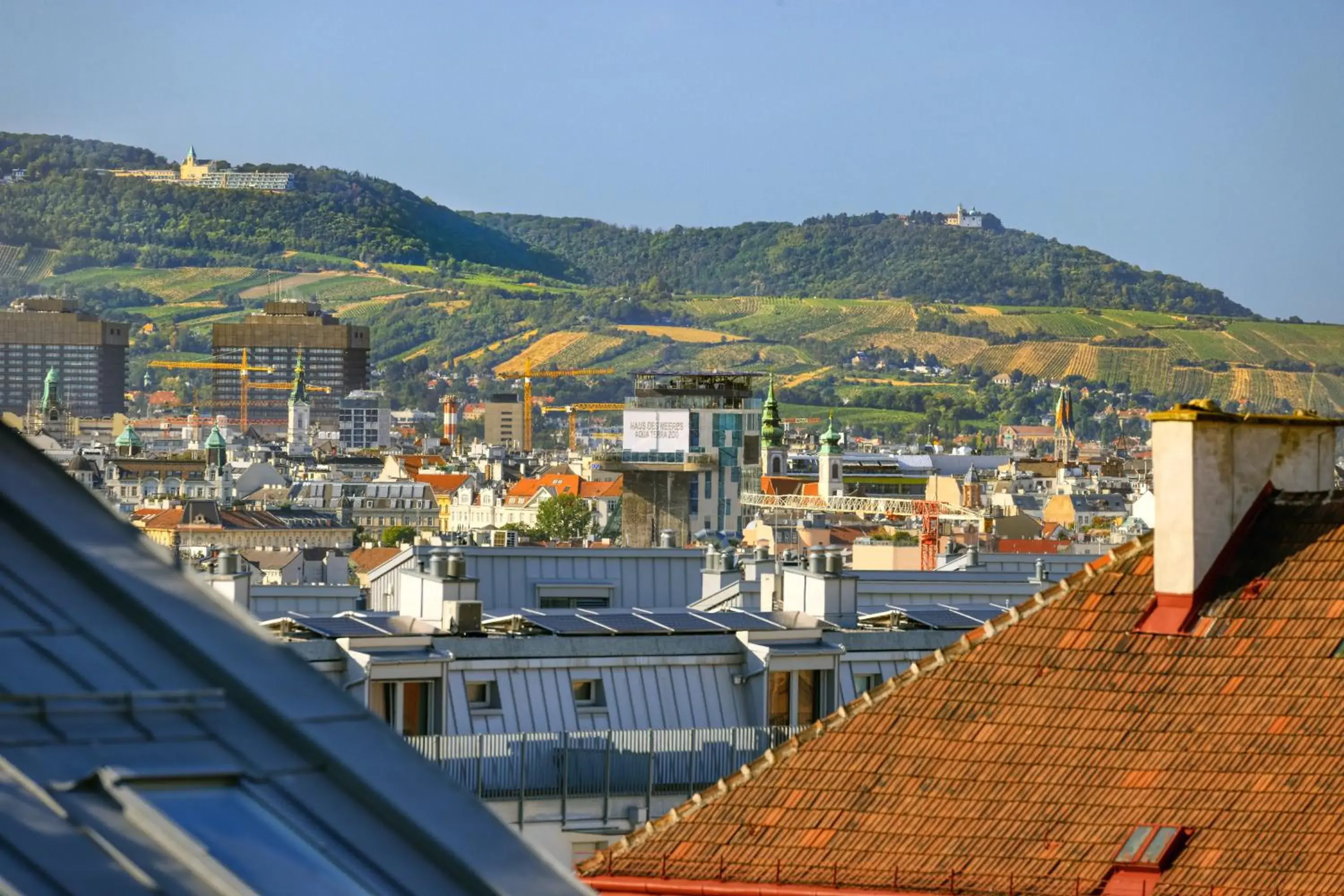 View (from property/room) in Jimmy's Apartments Dandelion View (from property/room) in Jimmy's Apartments Dandelion