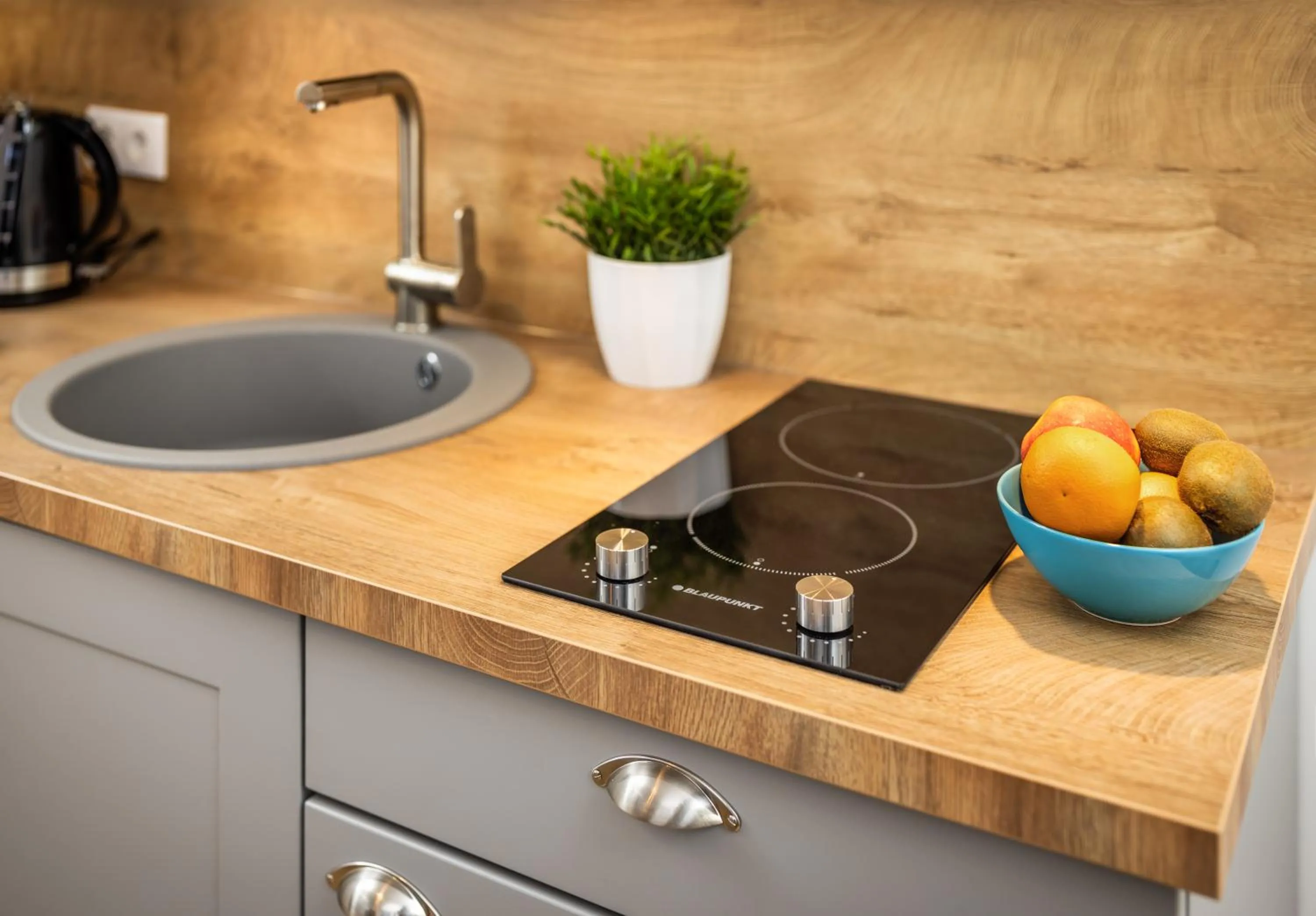 kitchen in Jimmy's Apartments Dandelion