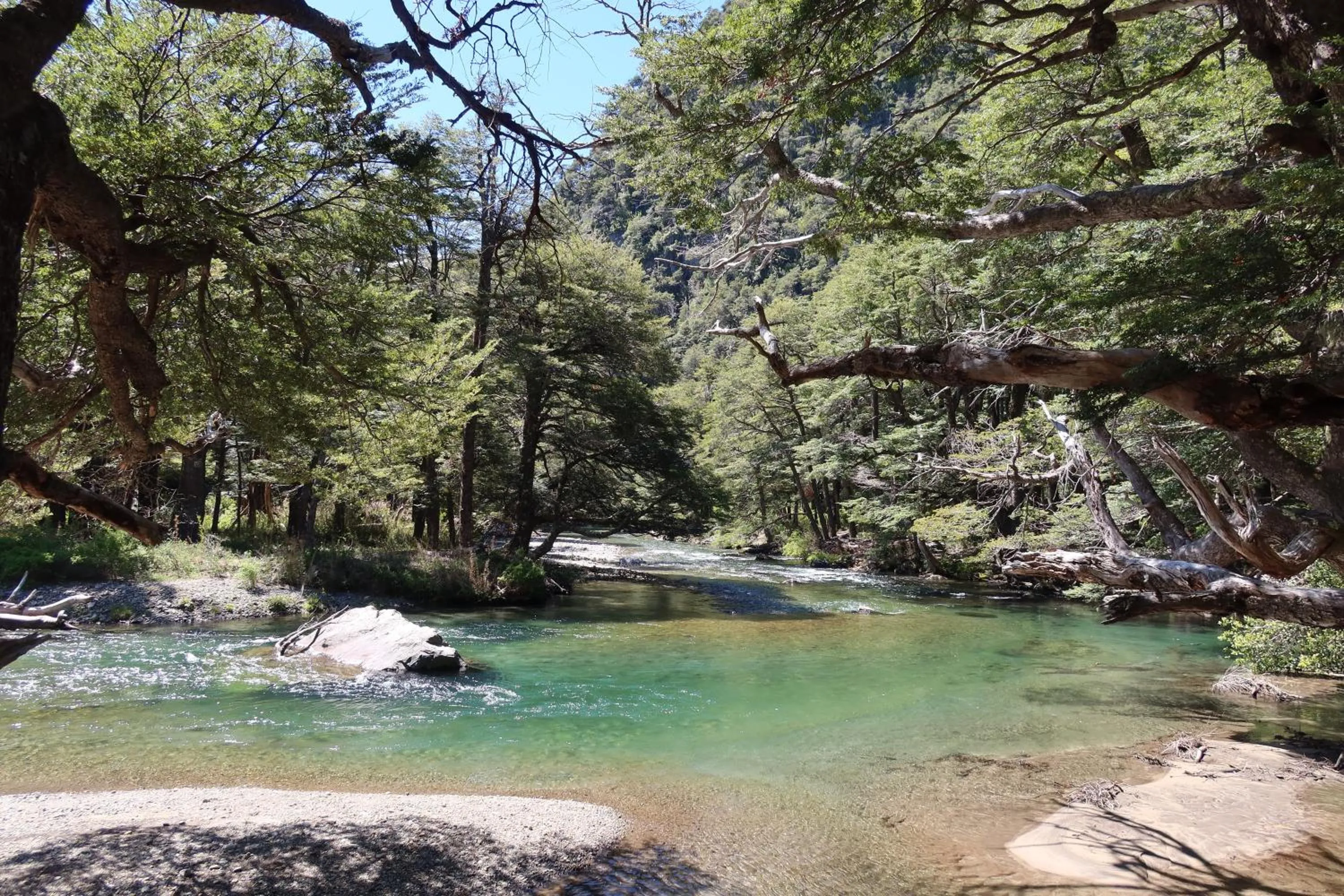 Activities in Hermoso Eco Lodge