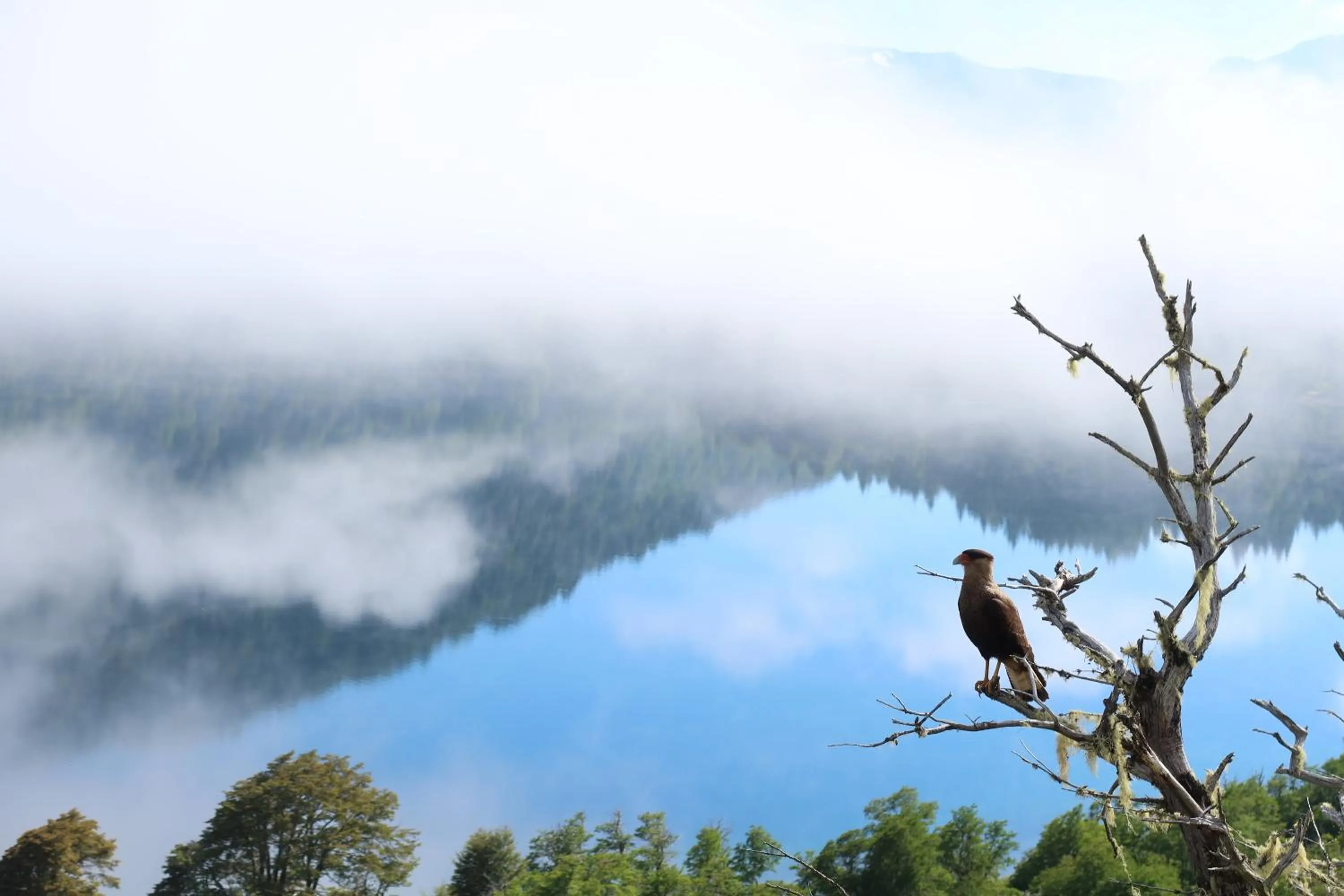 Natural landscape in Hermoso Eco Lodge