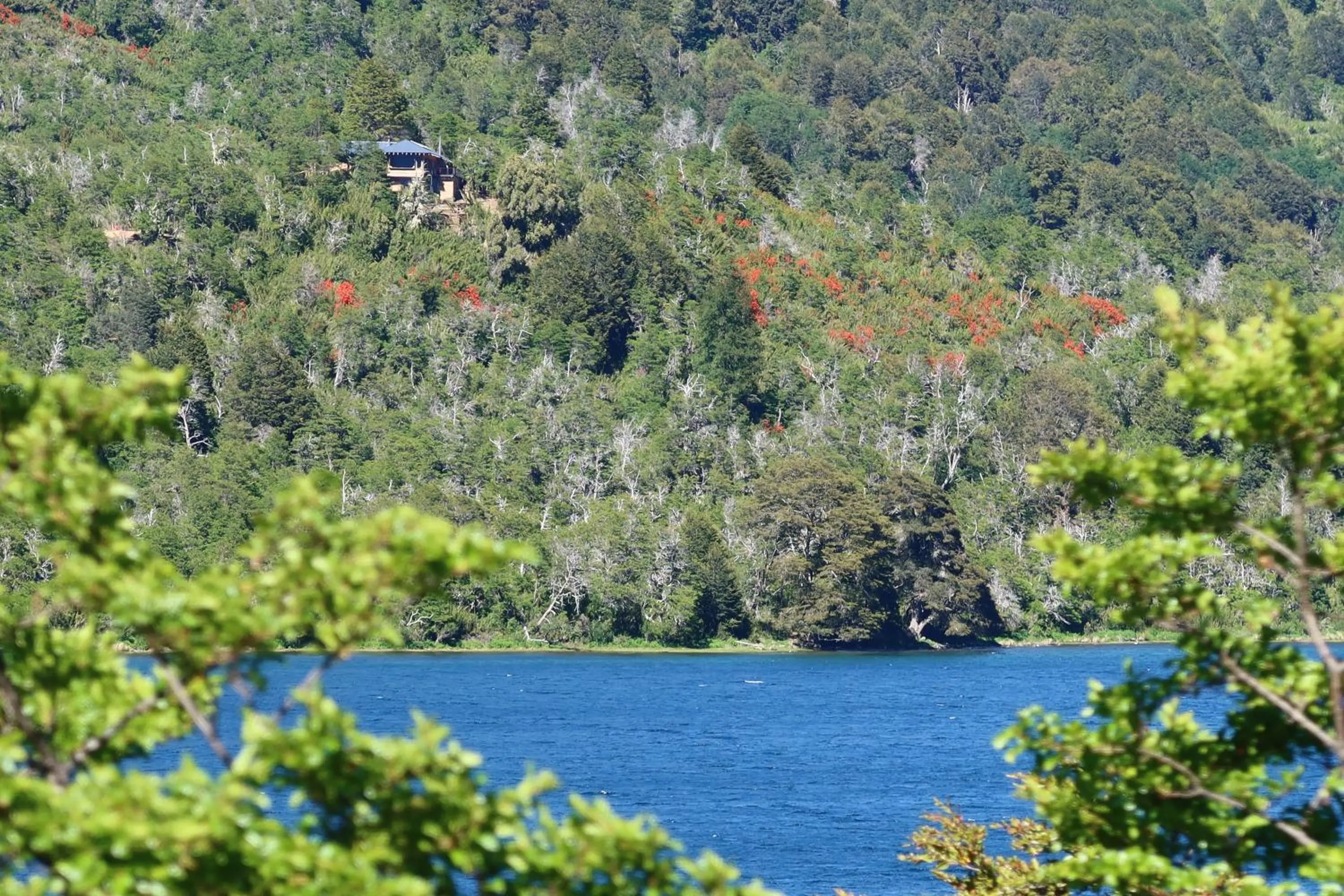 Property building in Hermoso Eco Lodge