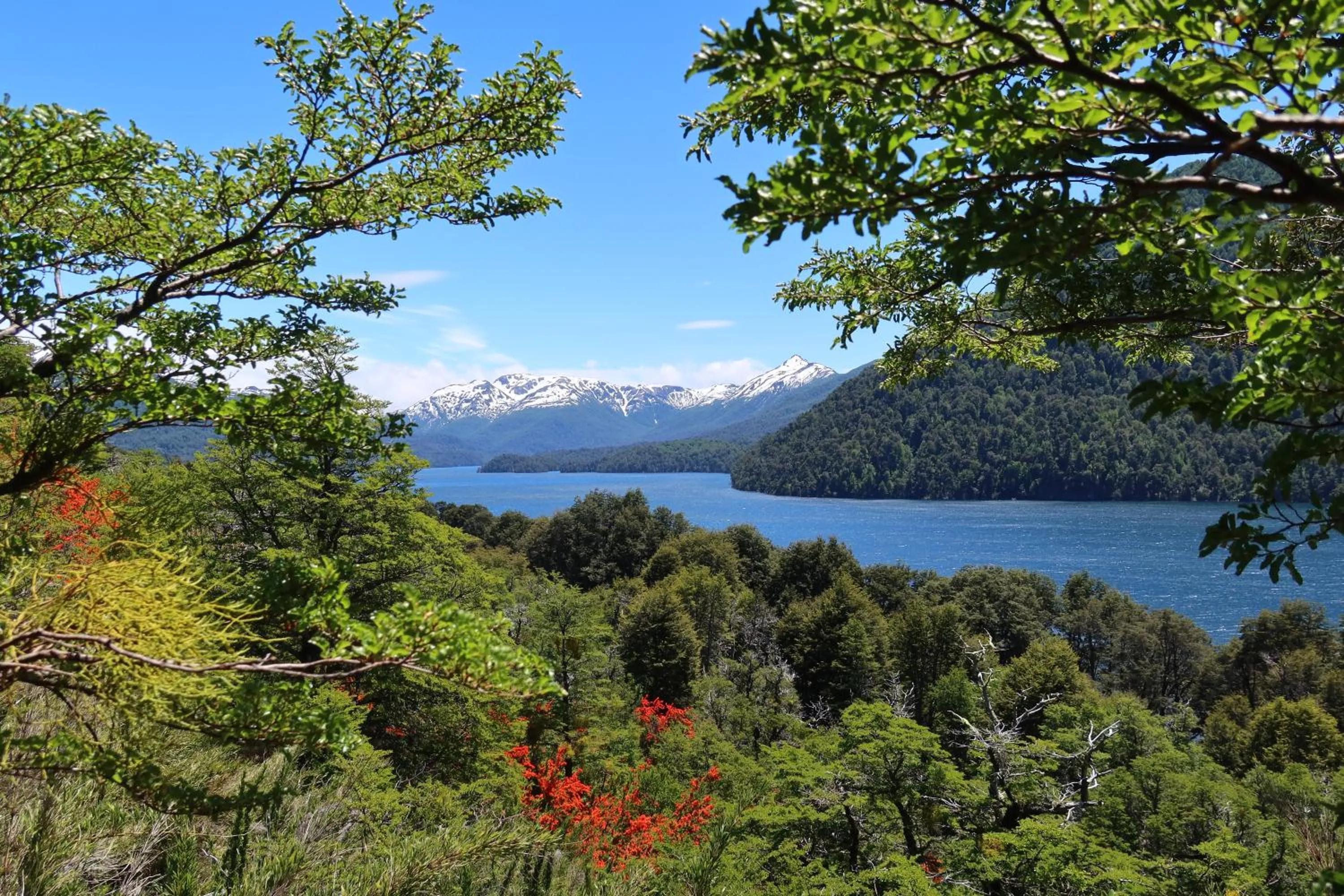 Natural landscape in Hermoso Eco Lodge