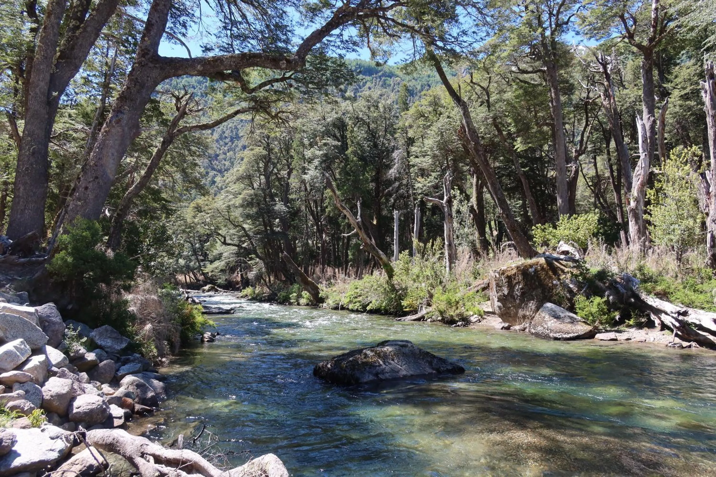 Activities in Hermoso Eco Lodge
