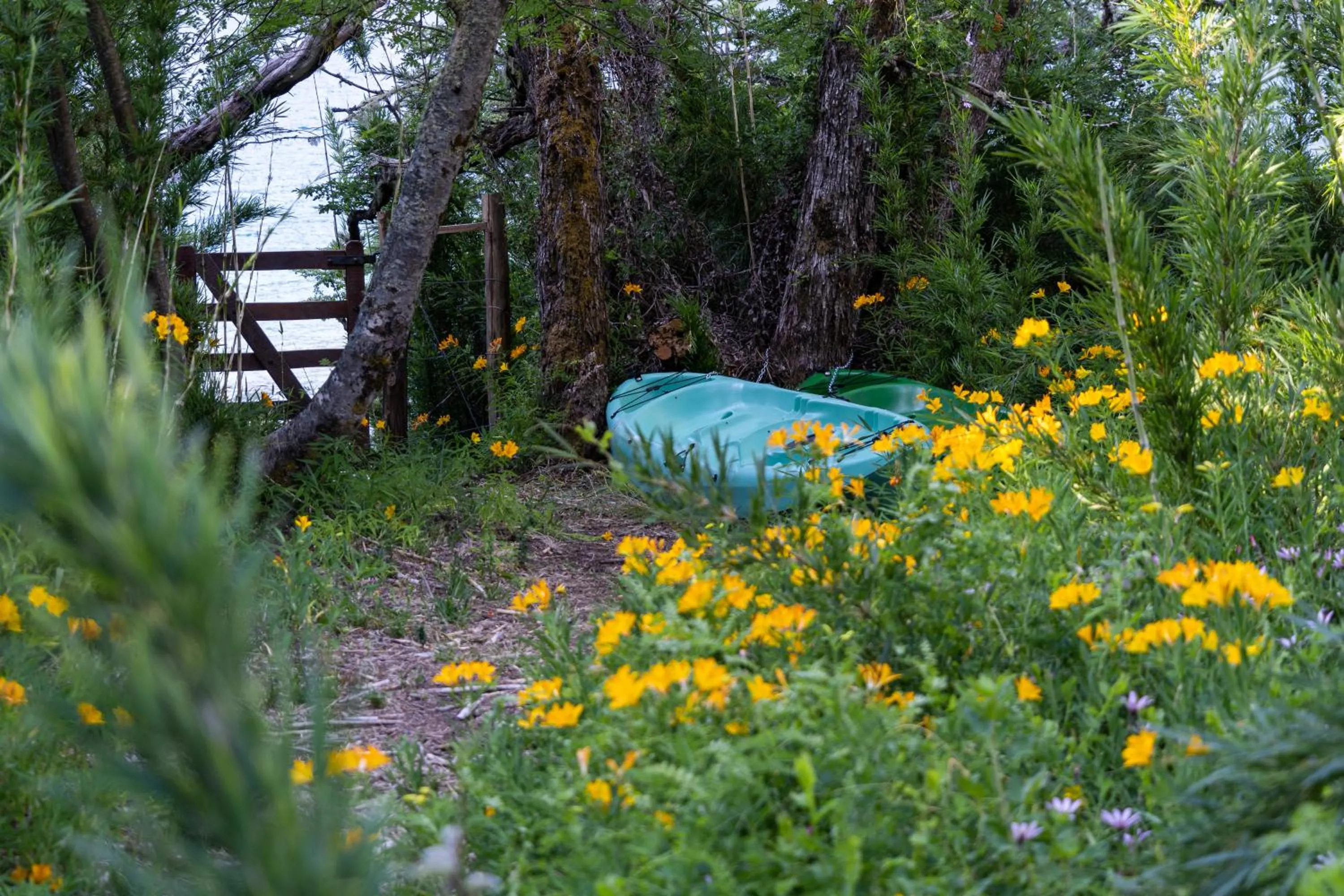 Off site in Hermoso Eco Lodge