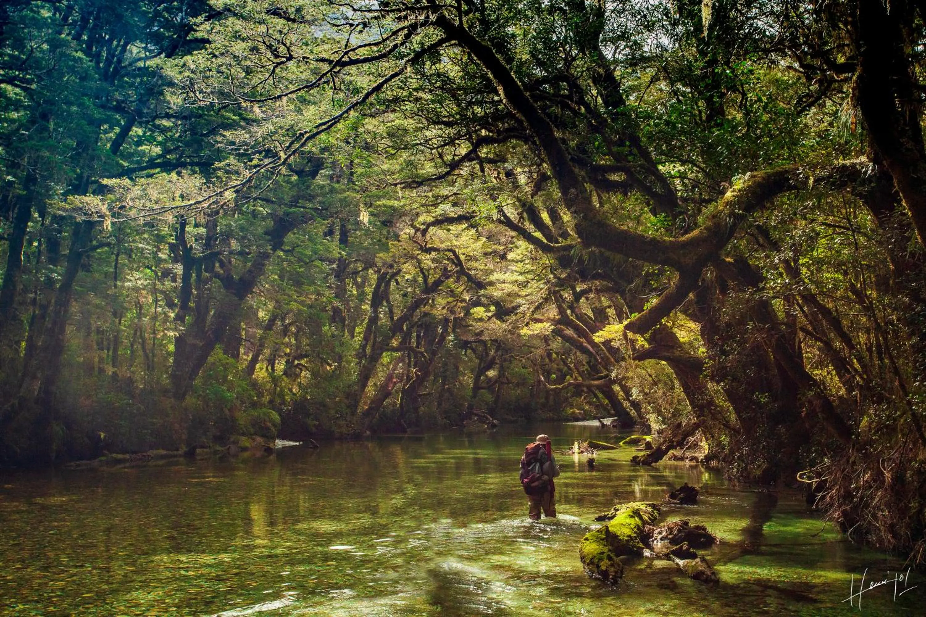 Natural landscape in Hermoso Eco Lodge