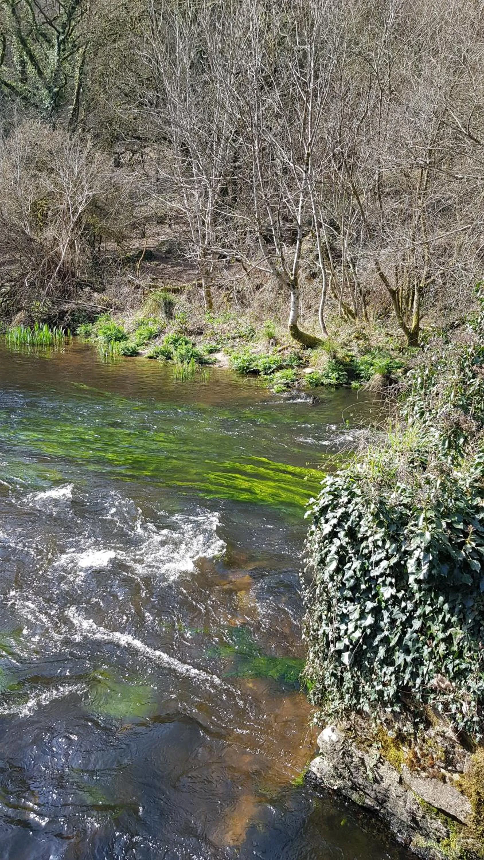 River view in Les Korrigans