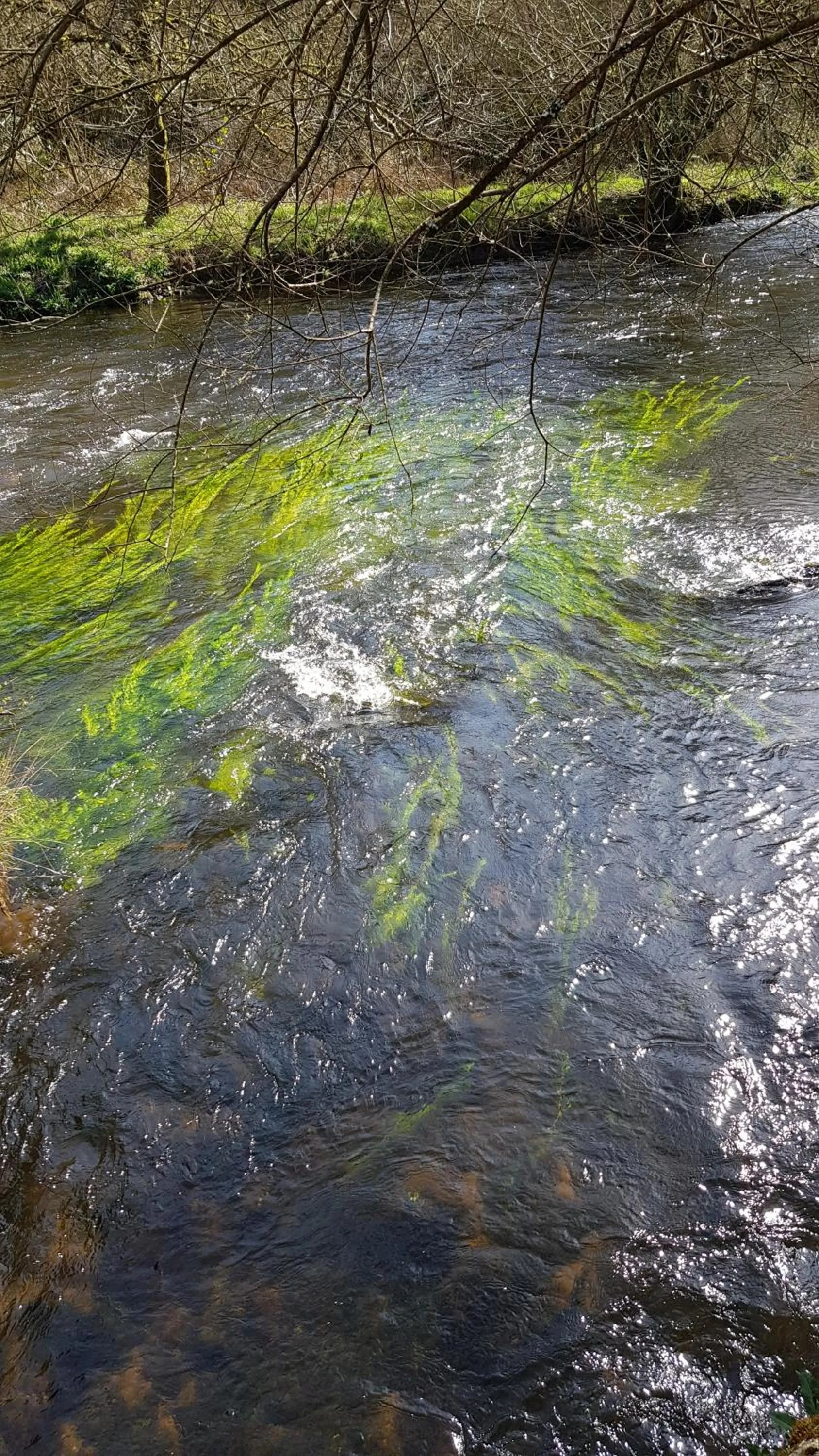 Fishing in Les Korrigans