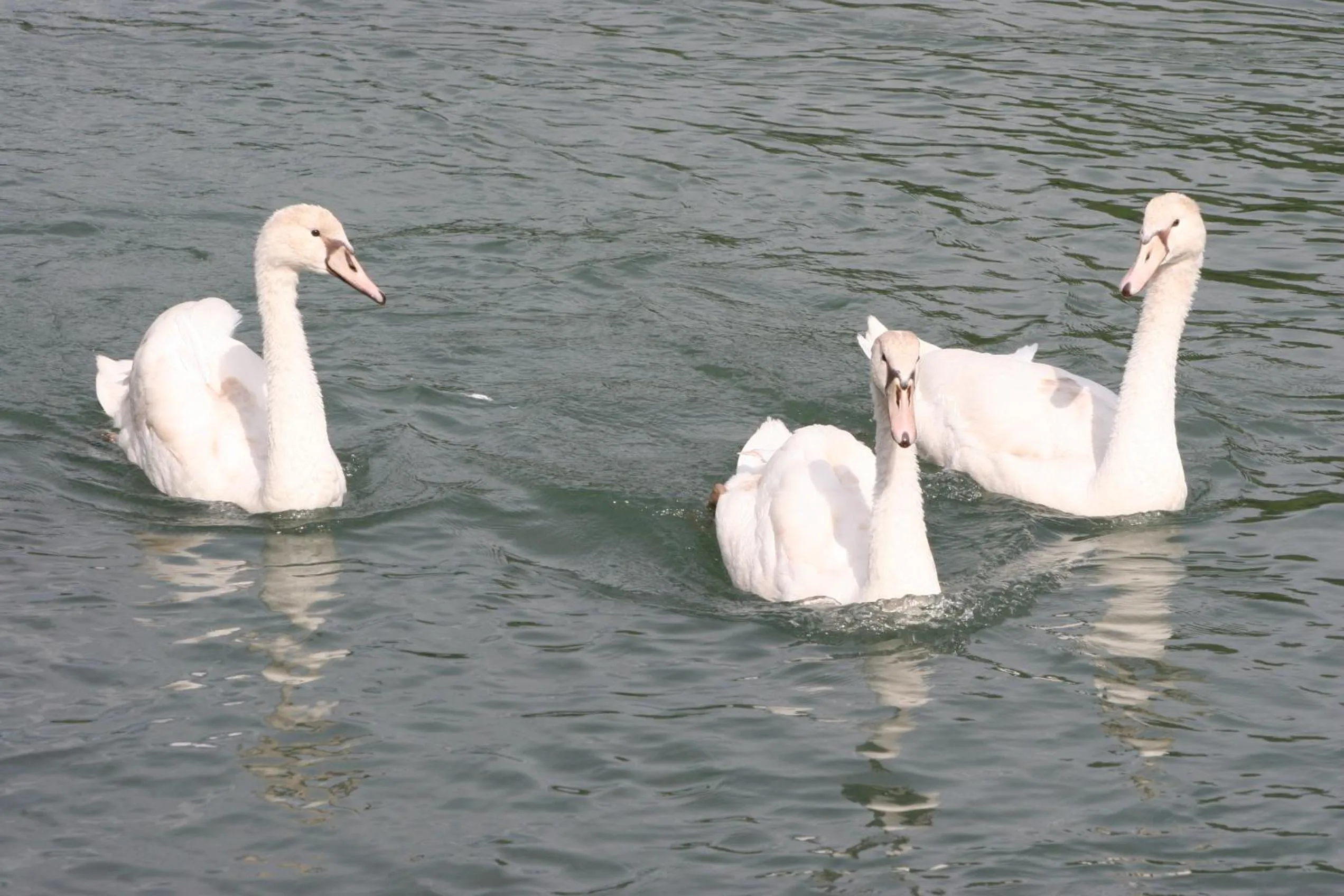 Day in Borgo Cà dei Sospiri