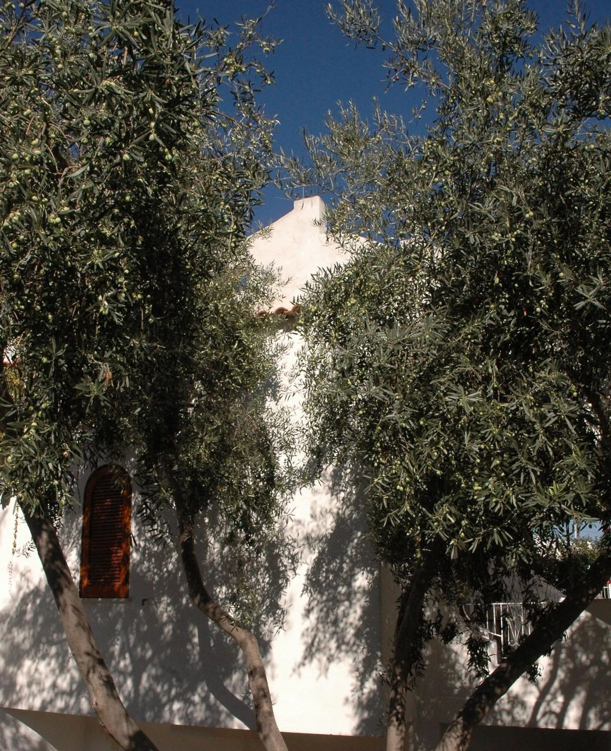 Other in Residence Villa Tina