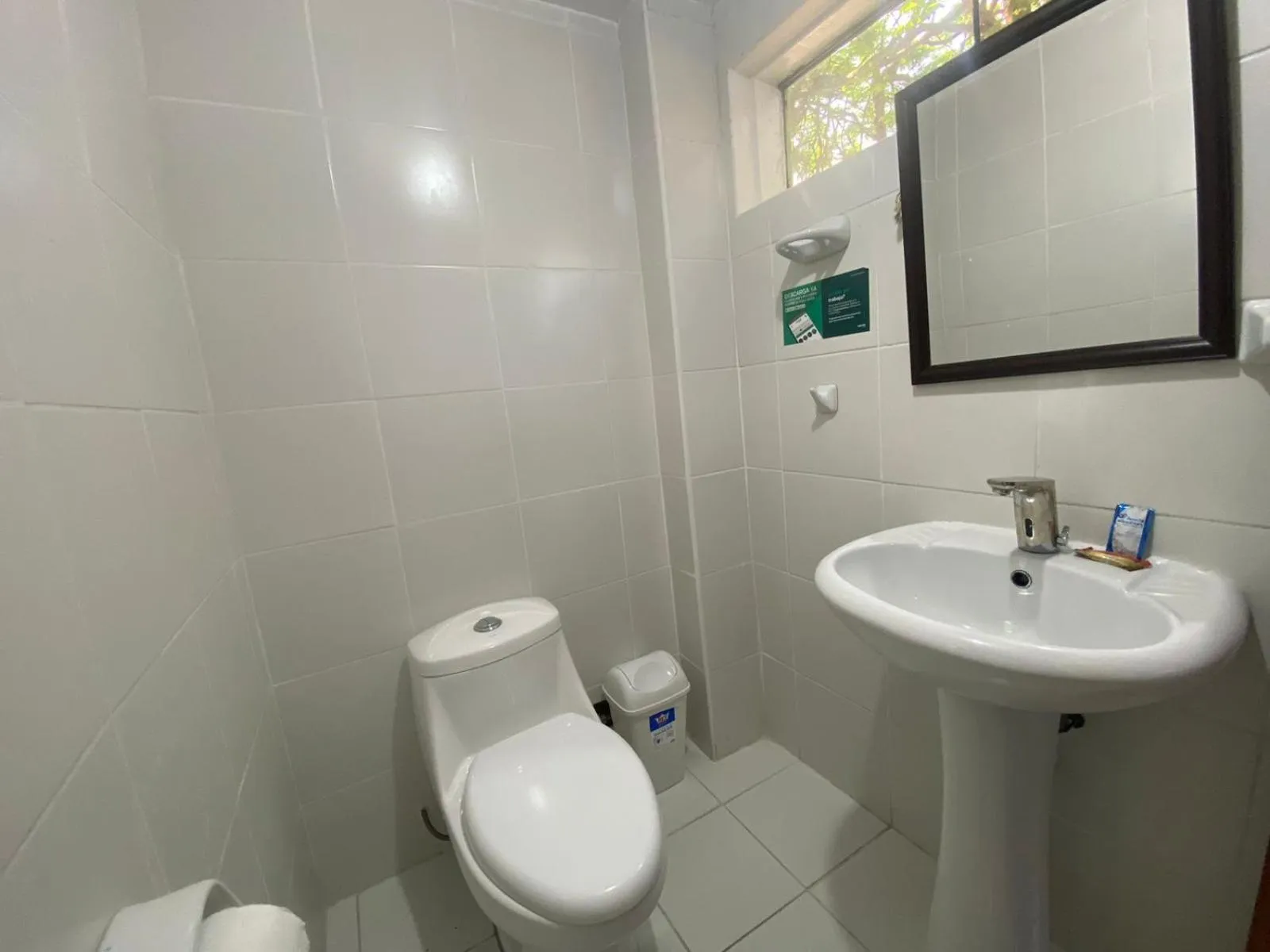 Bathroom in Green House