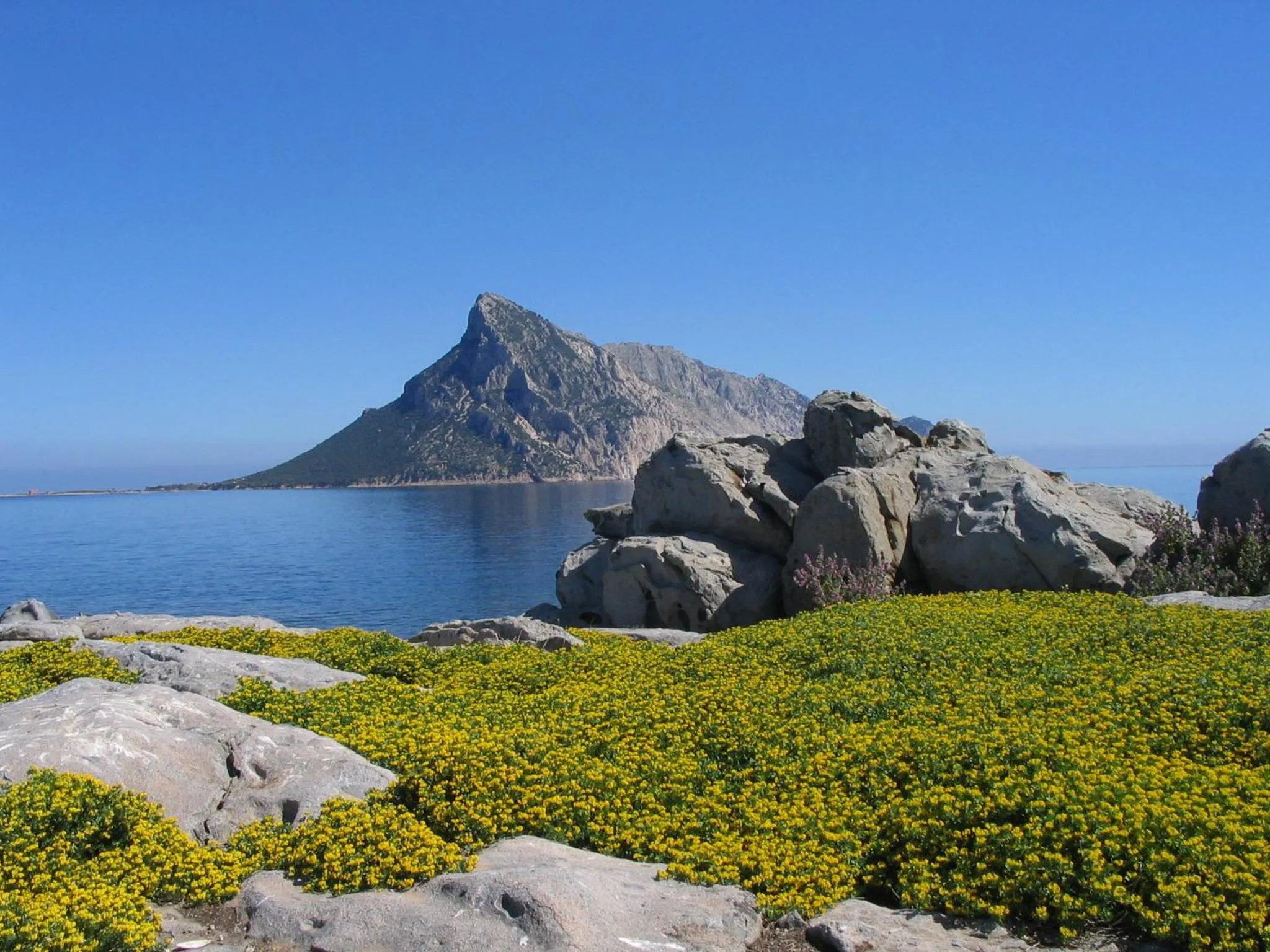 Other in Hotel Daniel