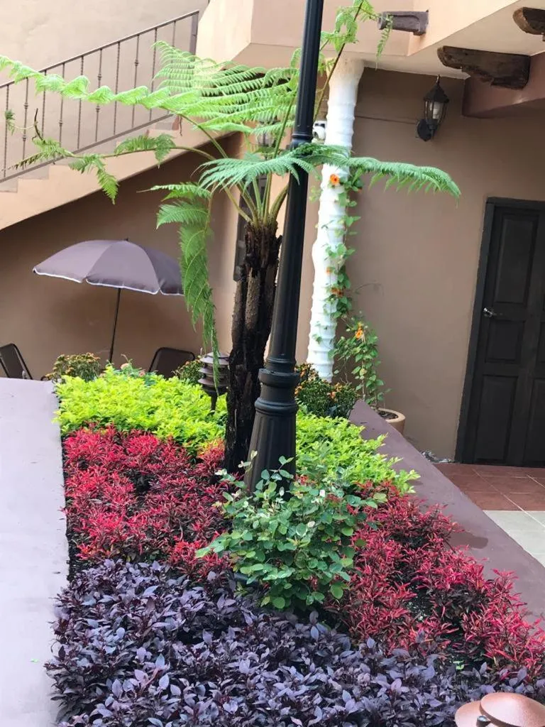 Patio in Casa de las Escaleras