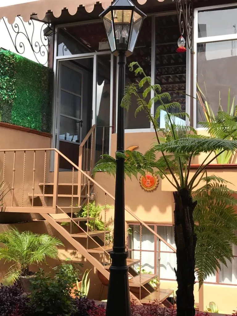 Garden in Casa de las Escaleras