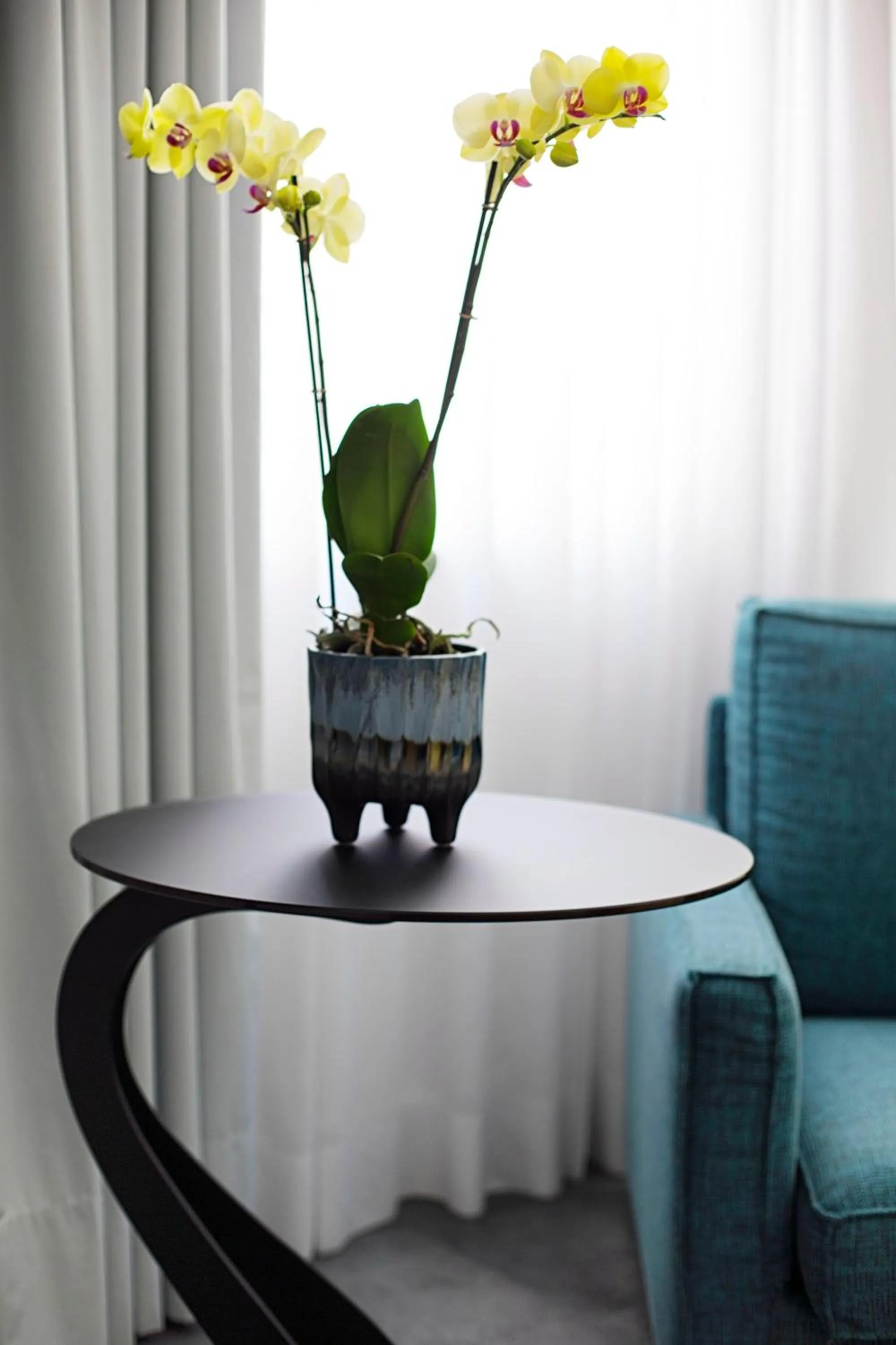 Living room in Hotel Tasso Suites & Spa