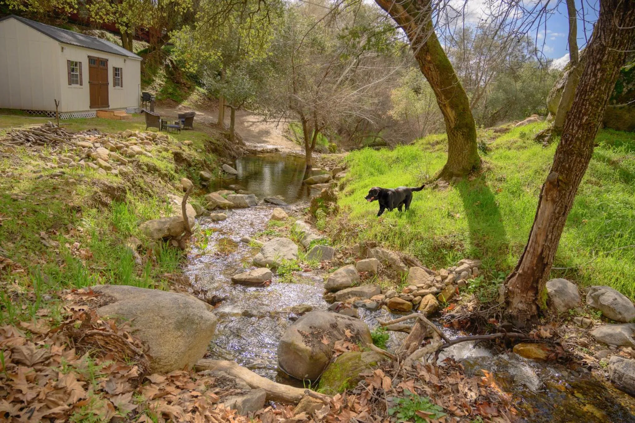 Natural landscape in Genas's Sierra Inn & Restaurant