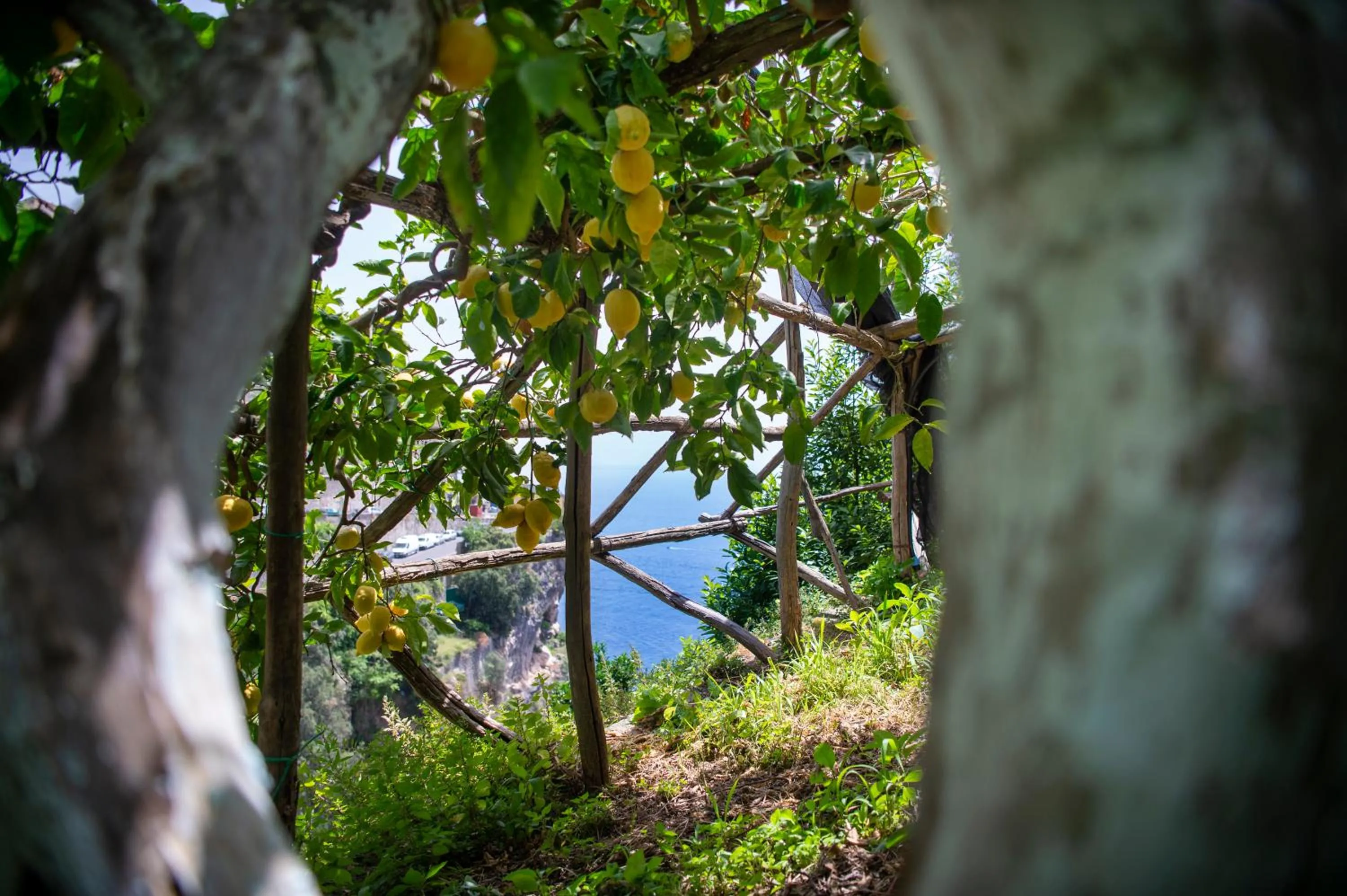 View (from property/room) in Hotel La Pergola