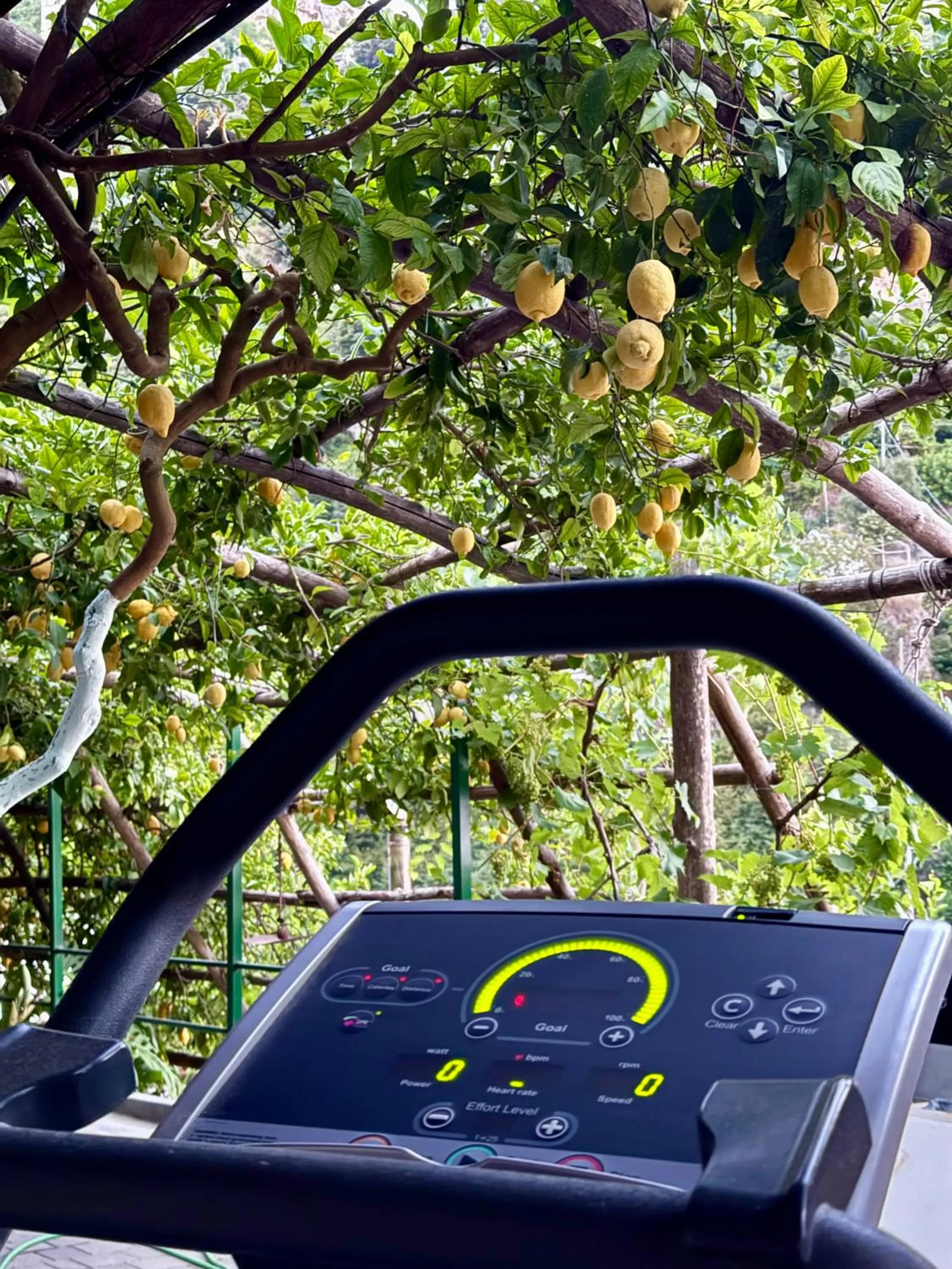 Fitness centre/facilities in Hotel La Pergola